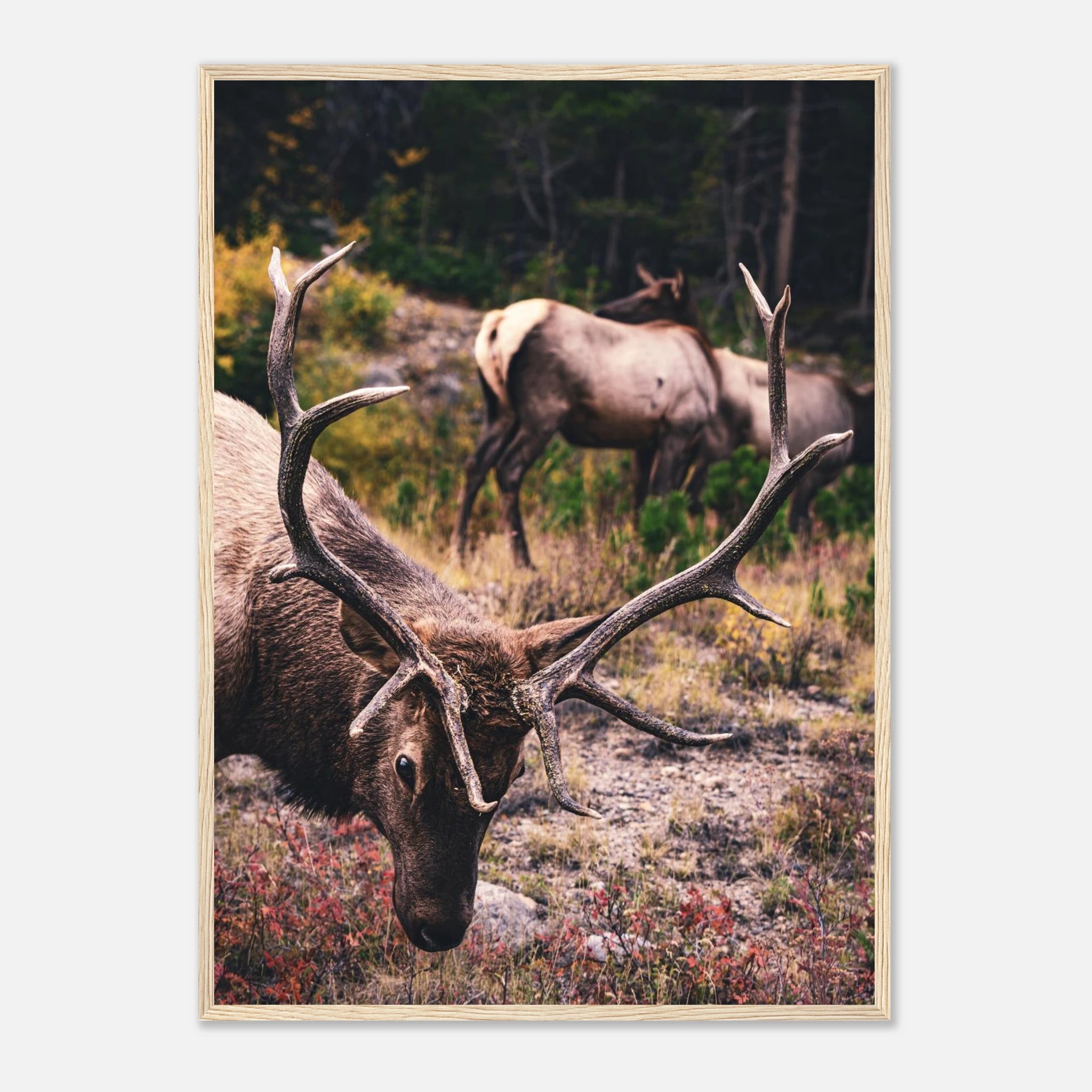 287b6bfc-6ad3-4a02-9137-4c76d54f9e32