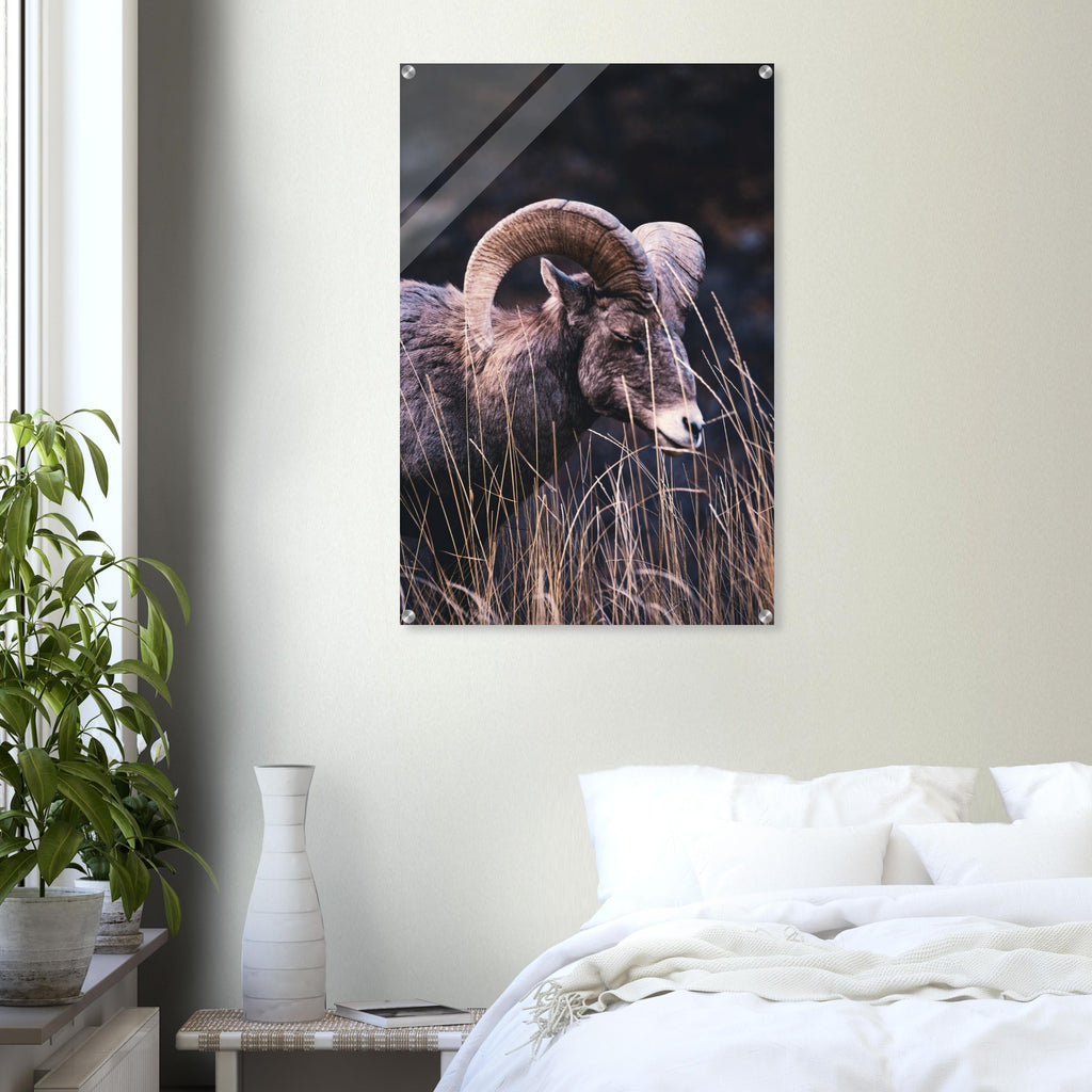 28c3a694-06bc-44b9-b347-bb1f72f84f55