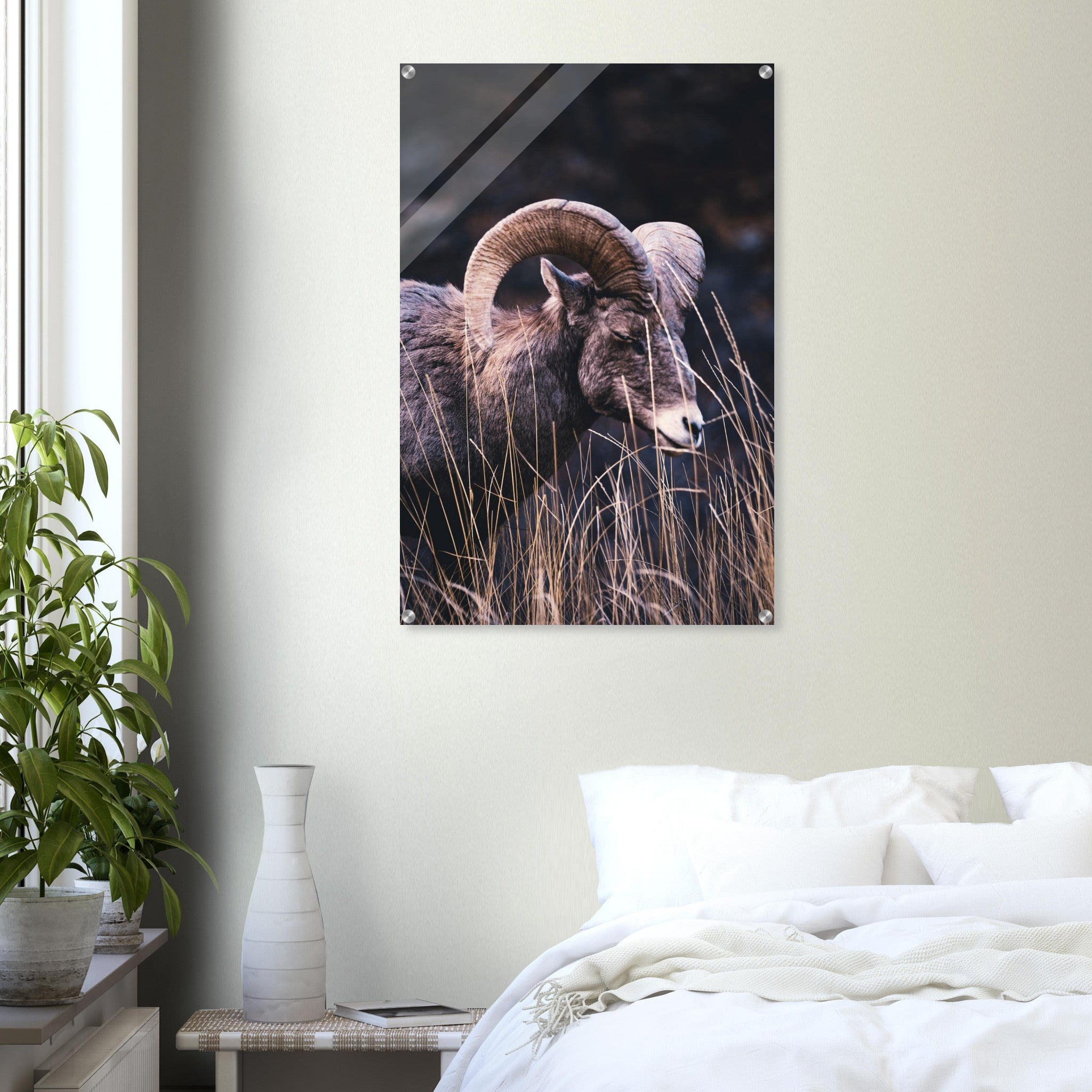 28c3a694-06bc-44b9-b347-bb1f72f84f55