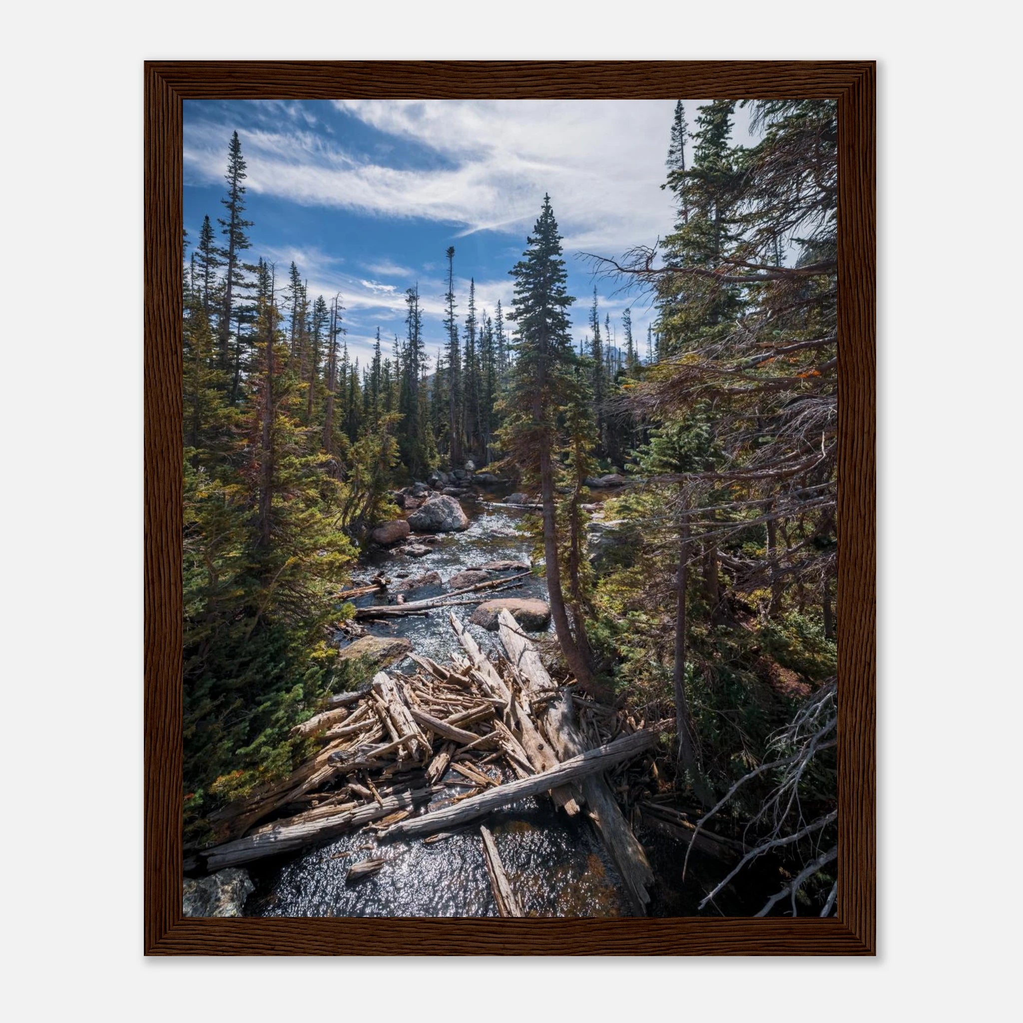 2b51f47a-26d0-4b95-8cd3-4b5024049c6f