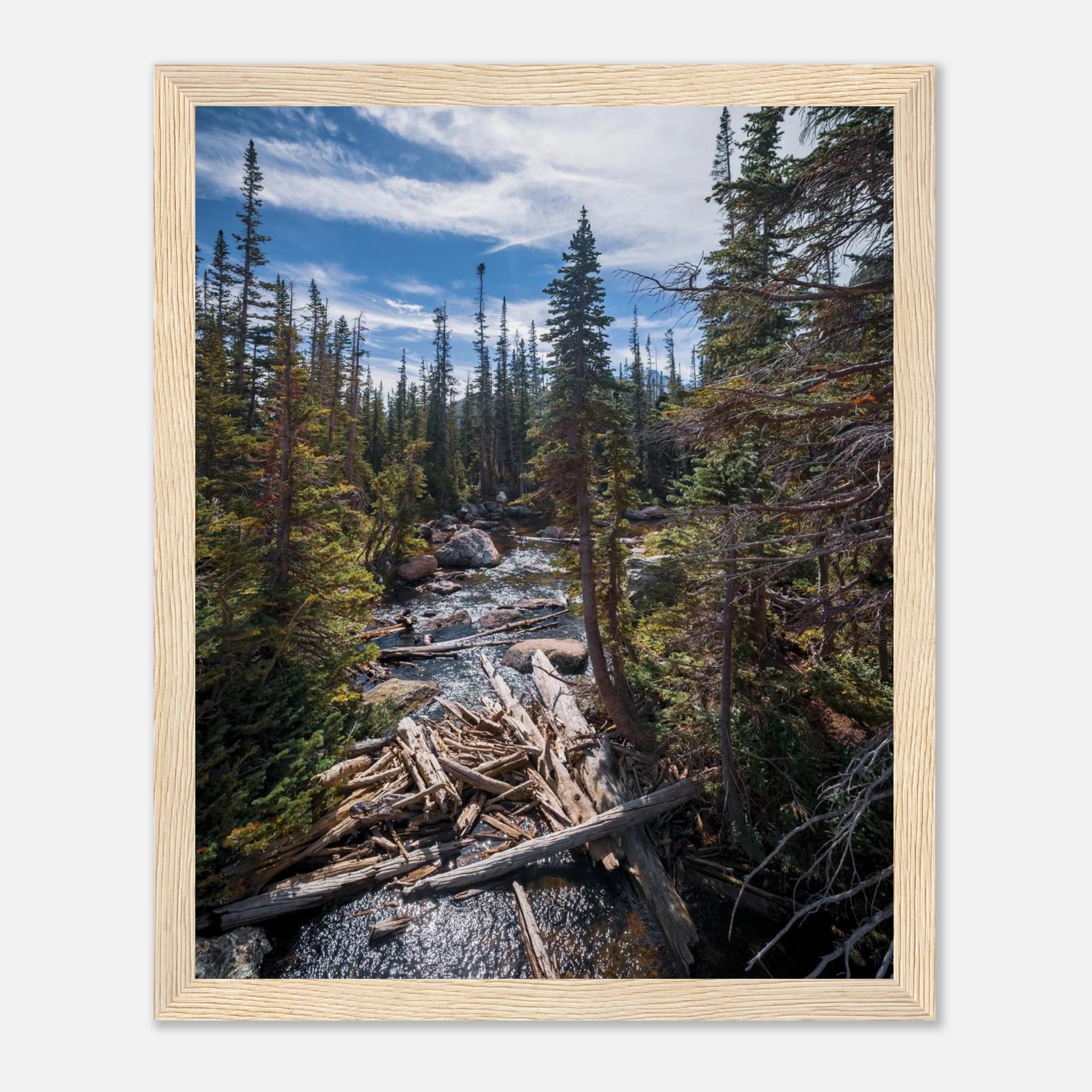 2e2872d4-8887-4816-9587-2f6ec3e1f298