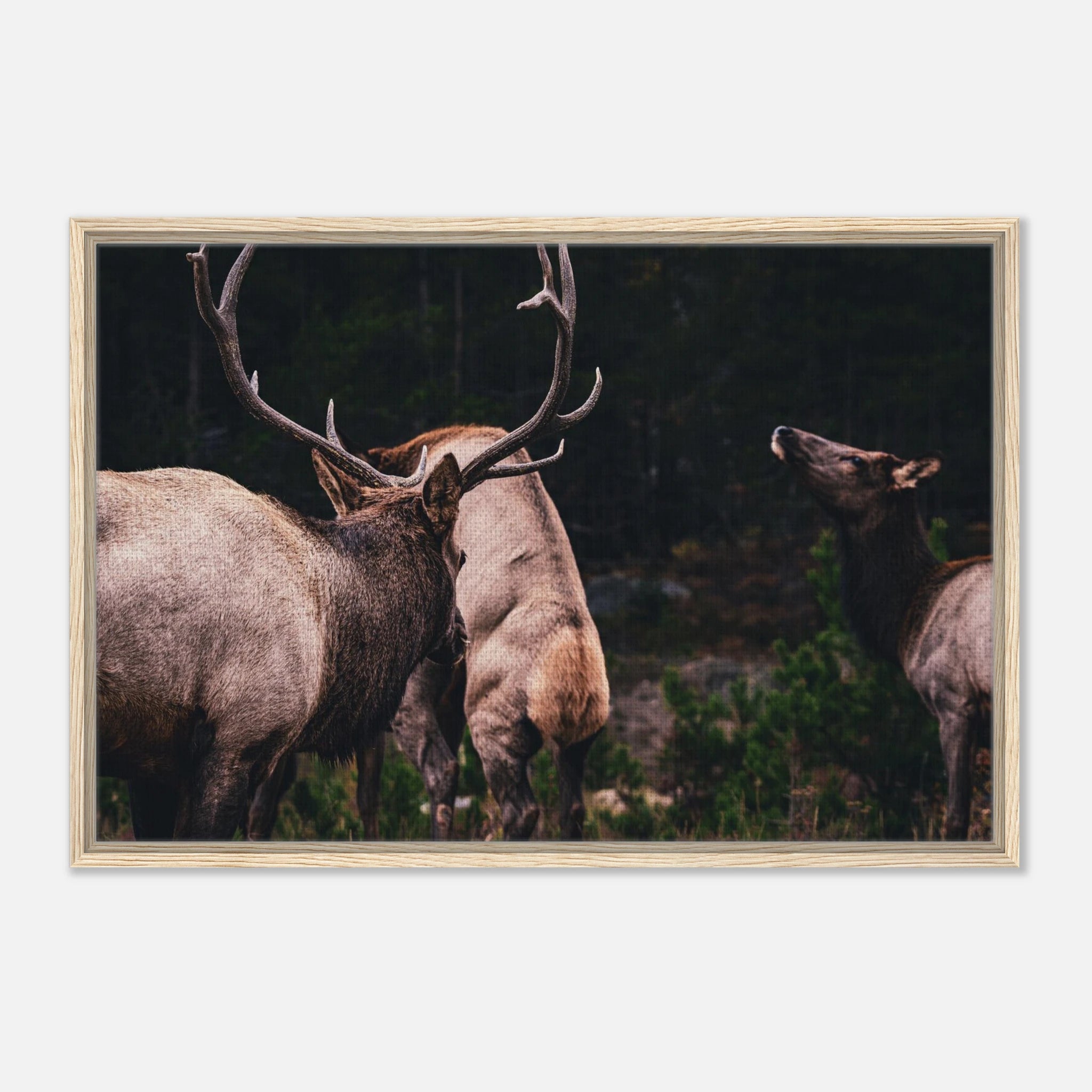 2f25dd25-017b-4e29-99b6-f6bb1565496c