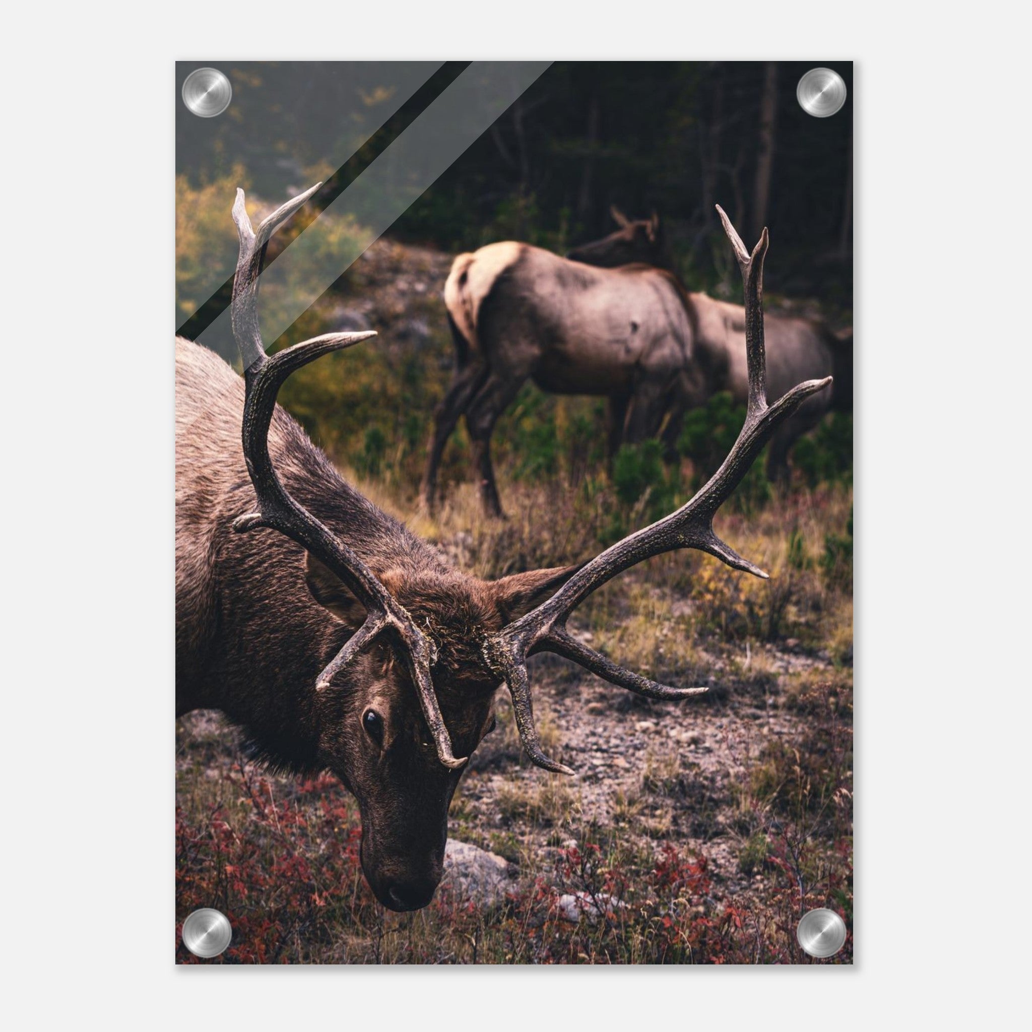 2fefd97c-ce7b-47c1-8ba1-569ffbe81ebf