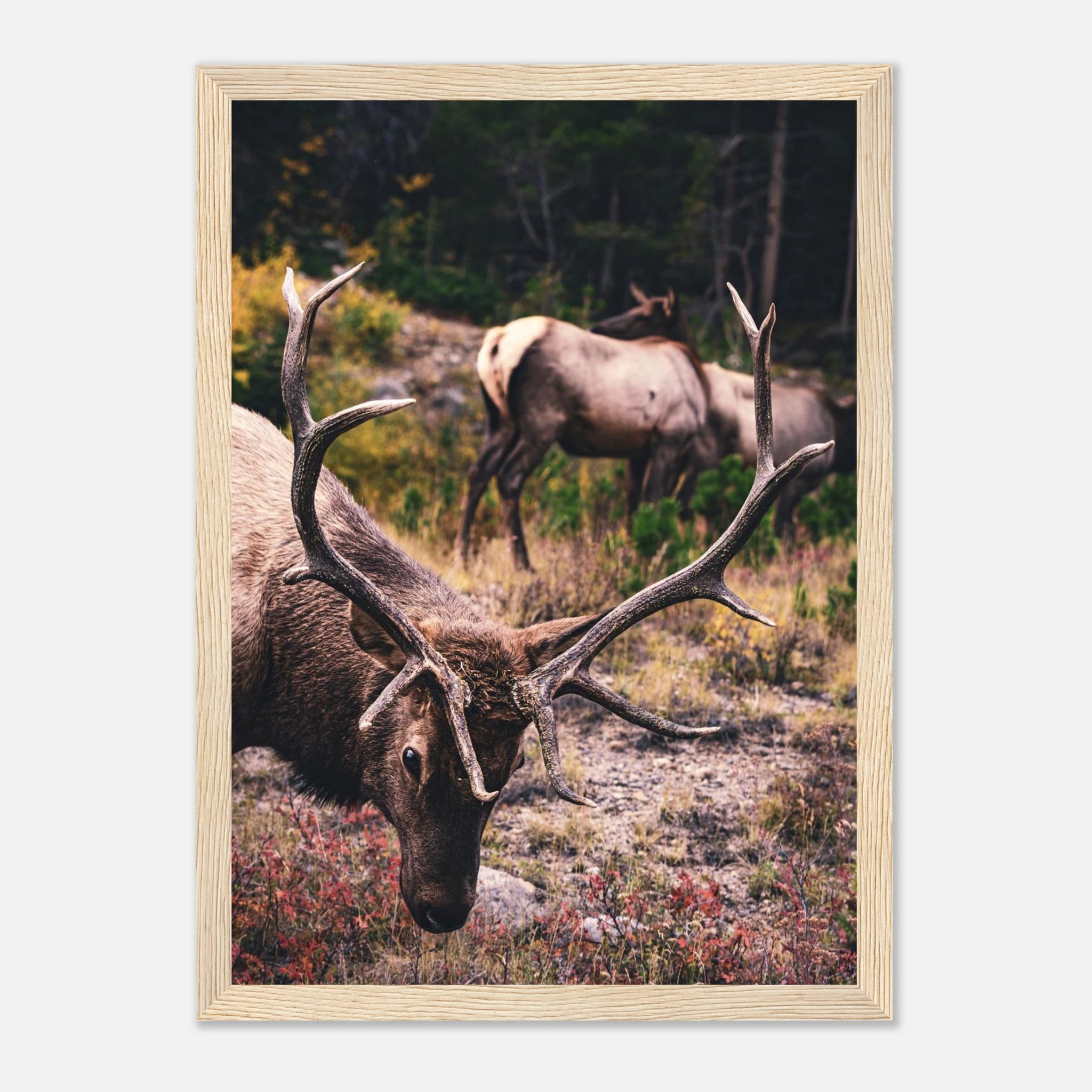 3075daba-5993-4716-aa92-6726930ef5ac