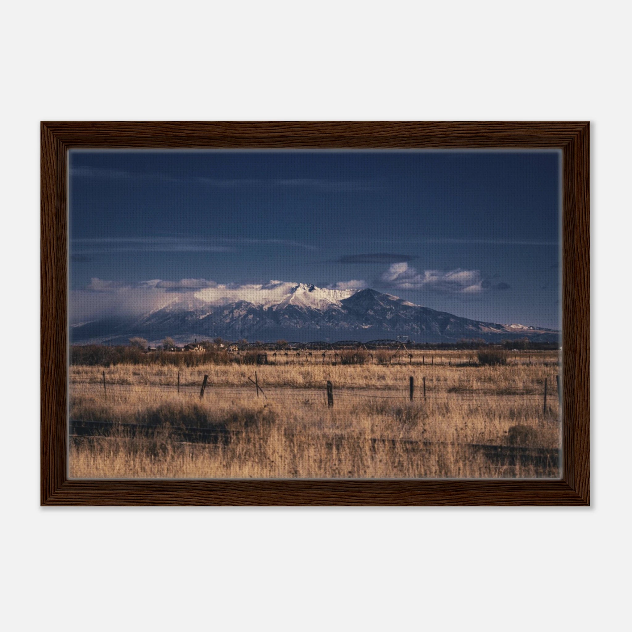 30836350-2739-406e-bc95-ac0fa97f5e1f