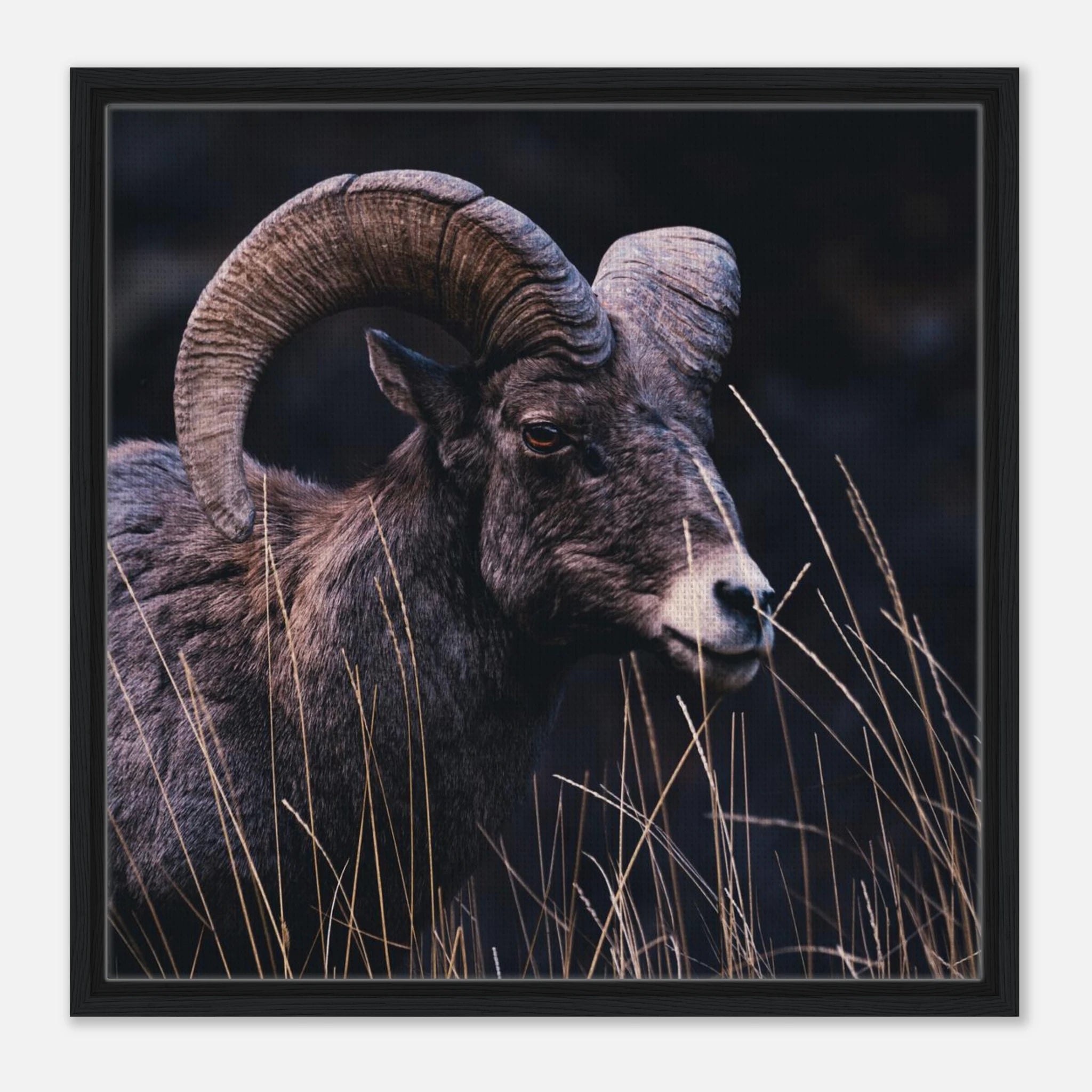 30d6dc07-d660-4280-ab88-201eedeb7875