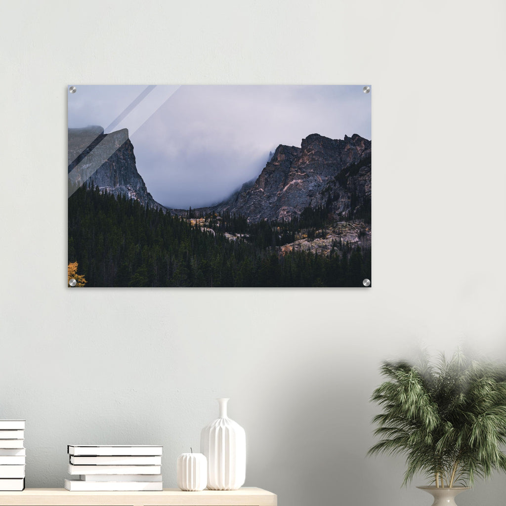 319ef506-b774-4f5f-b611-cd0fbc832151