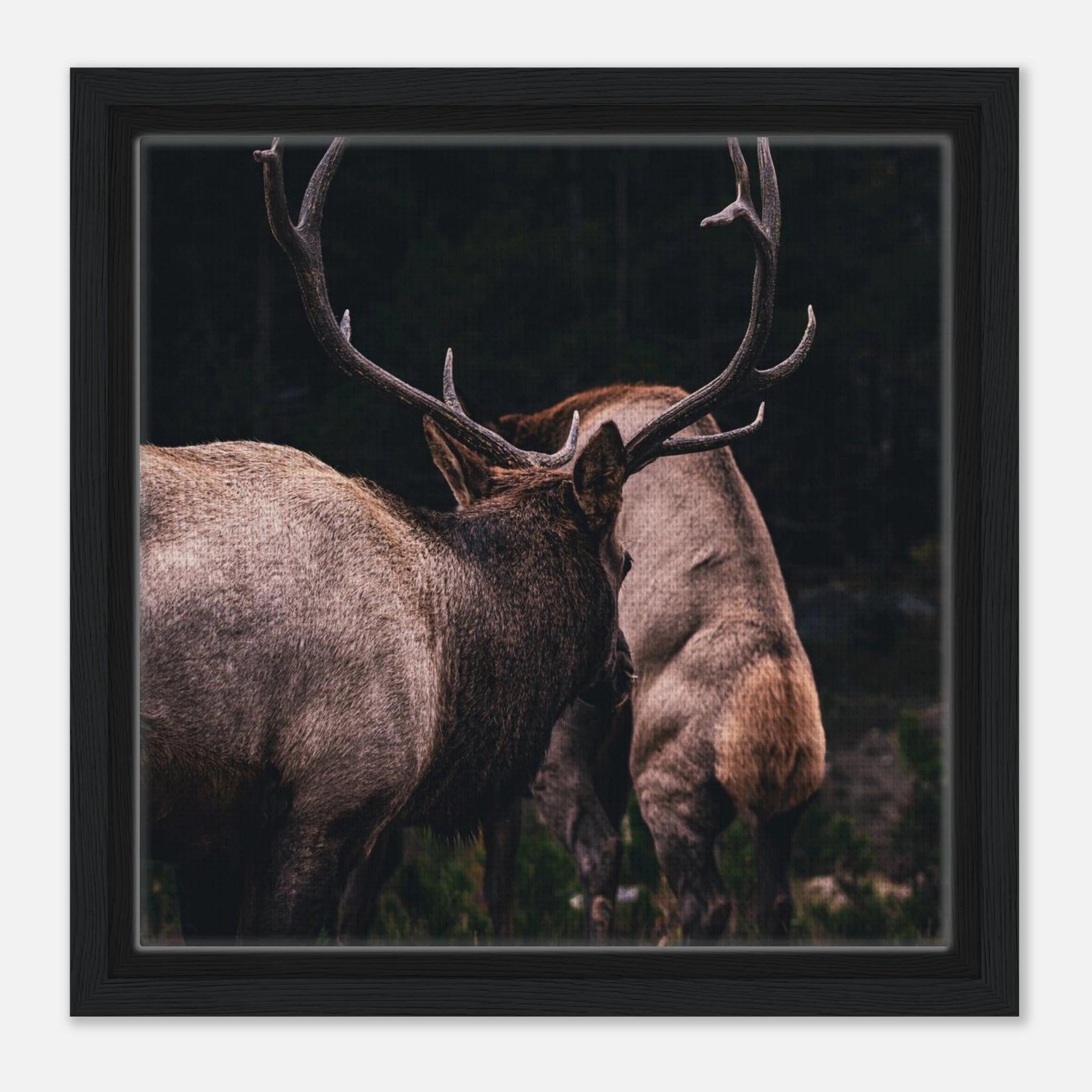 3268aa62-2d1d-482b-8b67-be4b67d888e2