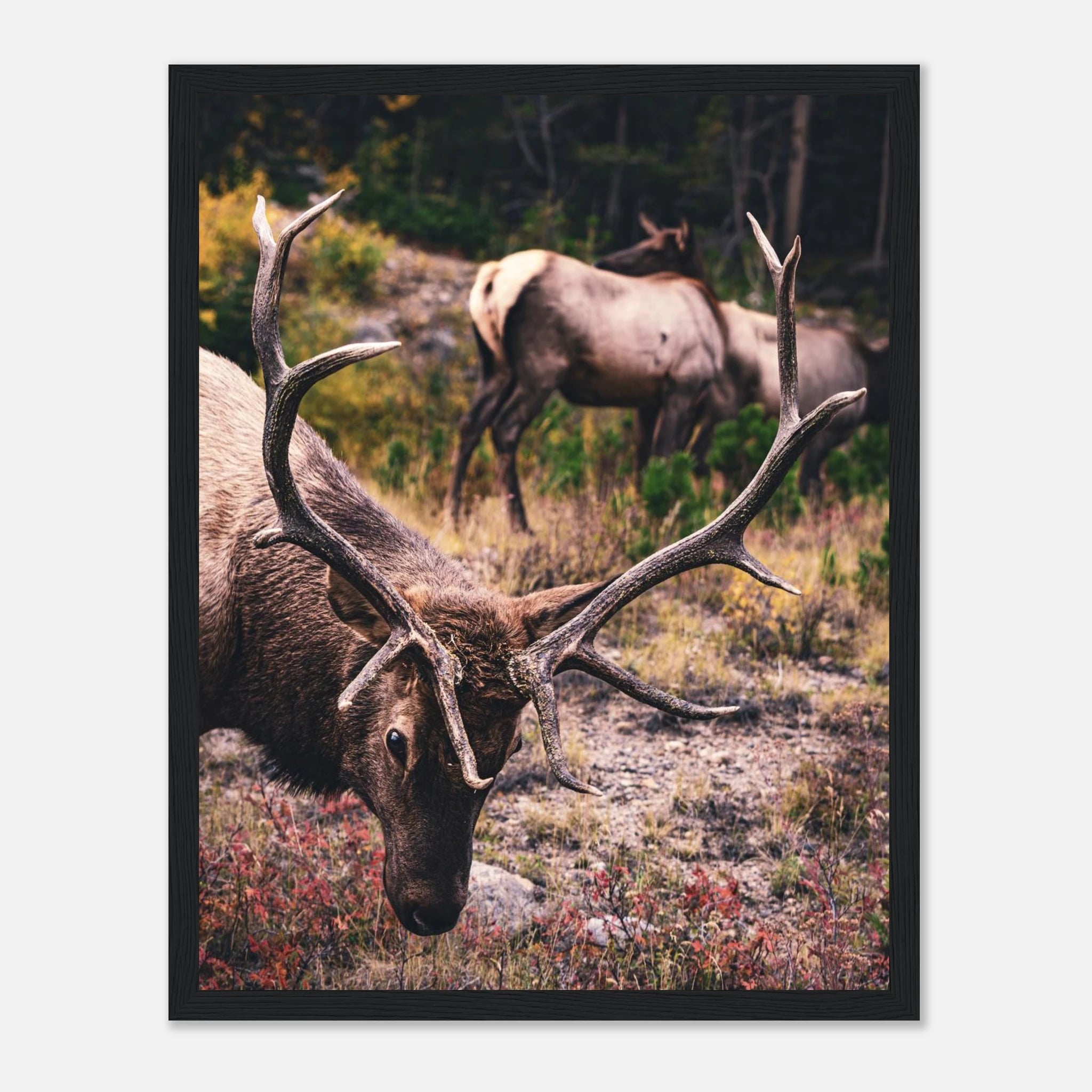 32cc2051-b46e-42a0-981f-2a9fa4c2b396