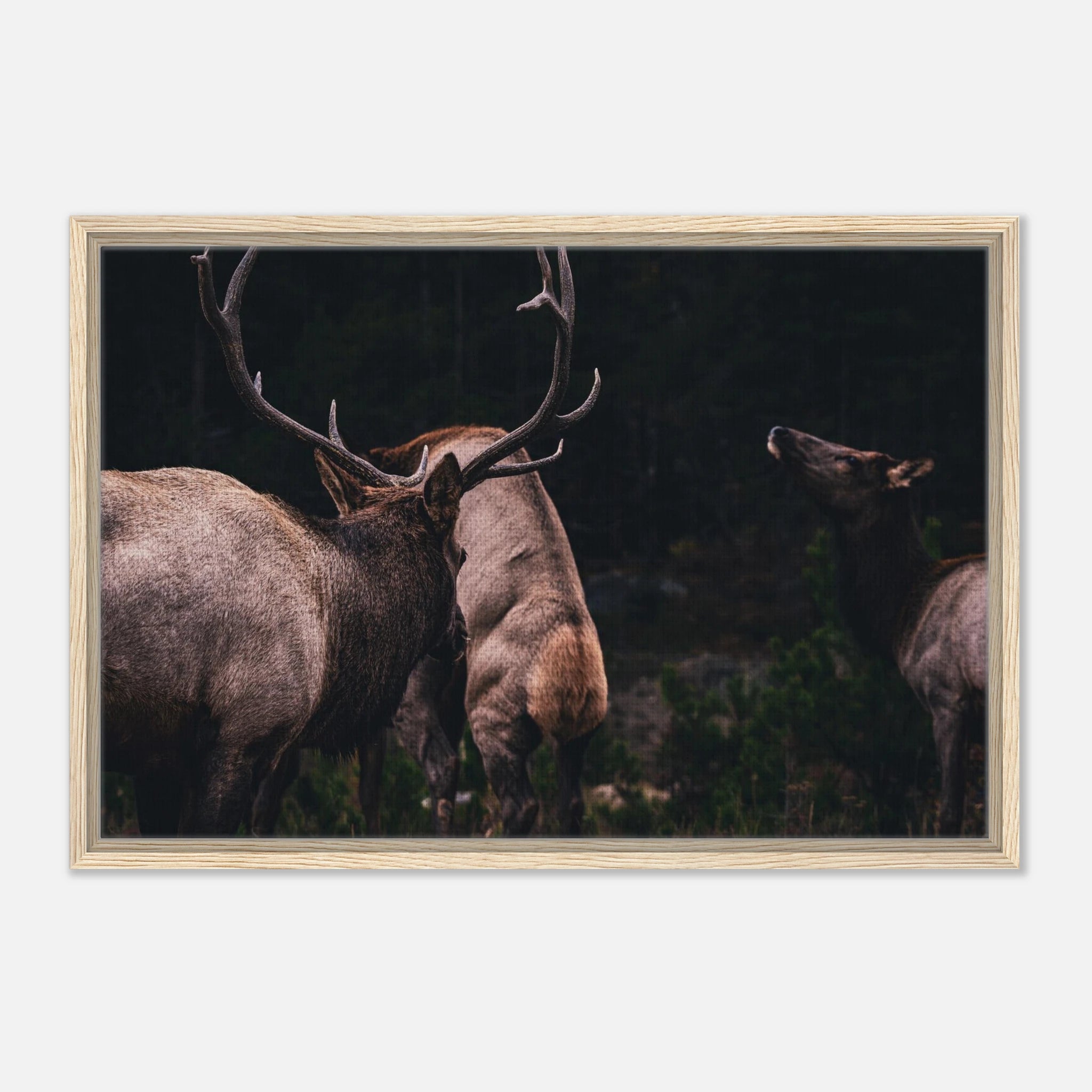 338914ee-7411-4355-a3cd-5f02cd12e901