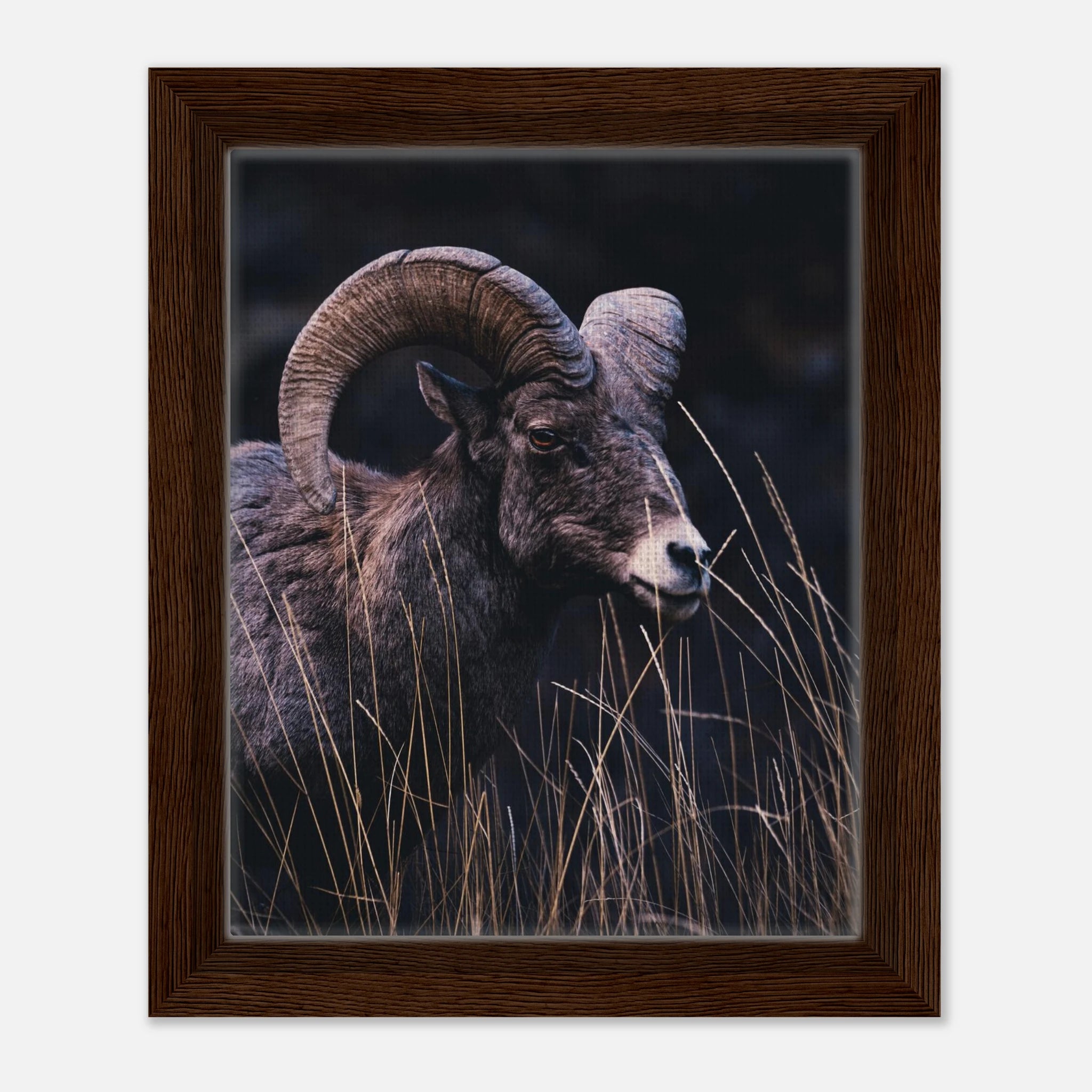 3399e2cb-d62d-47e7-b8fa-1e9f3adee82e