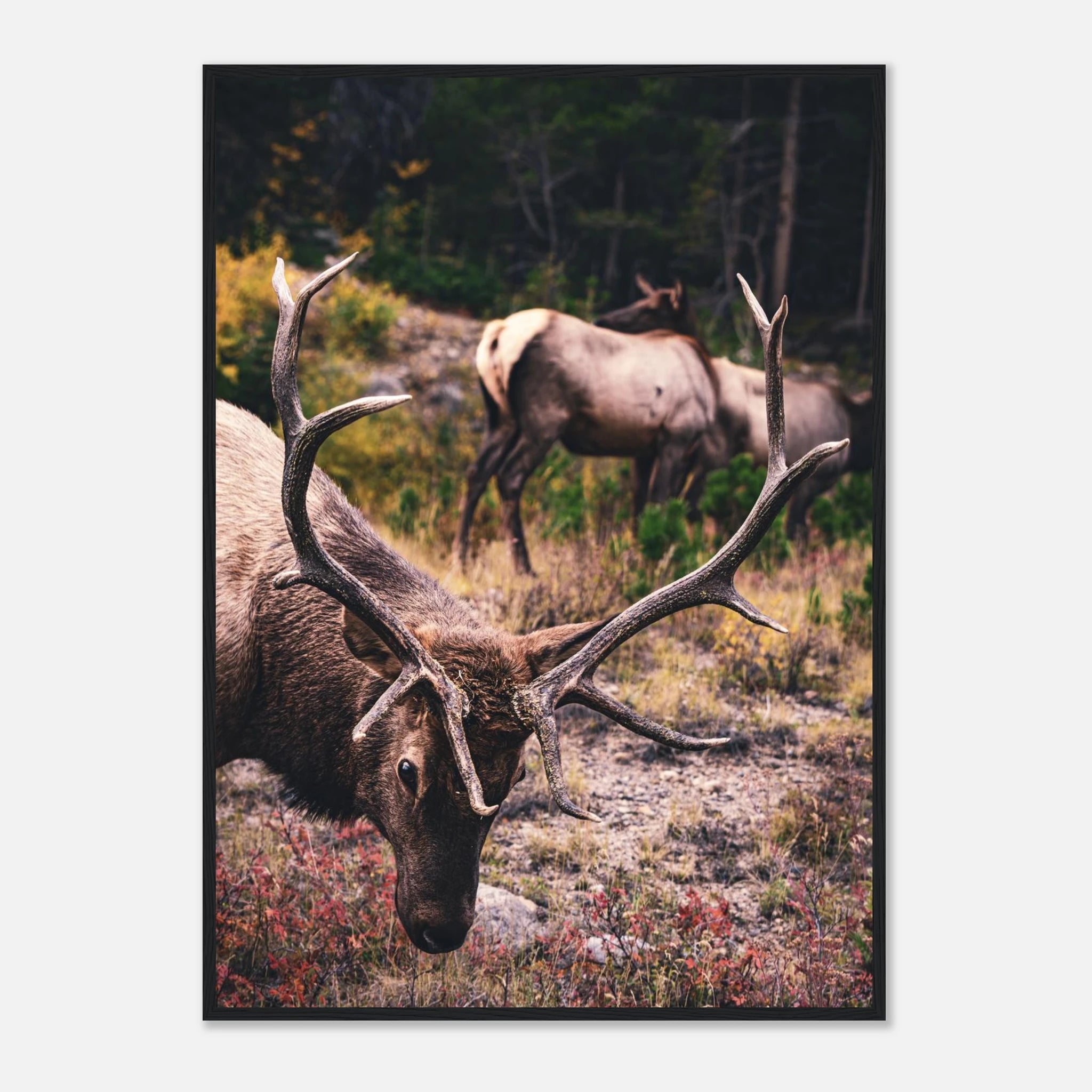 33fbb35a-3ad0-4887-b26d-b6445bd59ee3