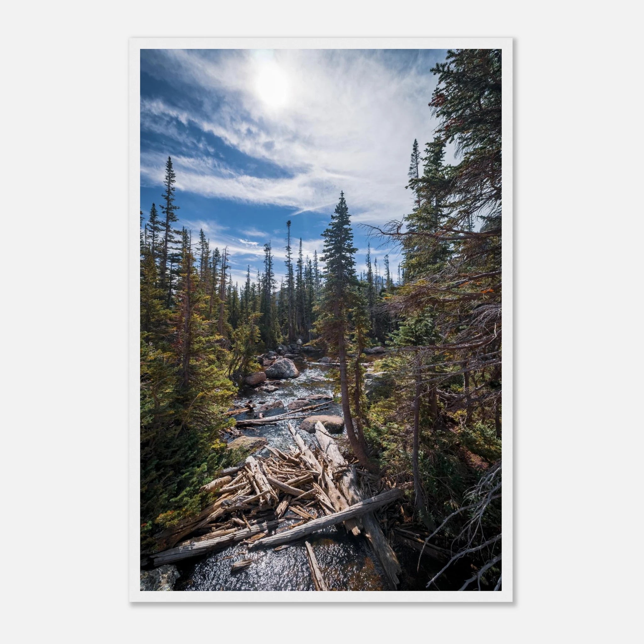 3476a661-528f-4a7e-9c3d-2375574f9158