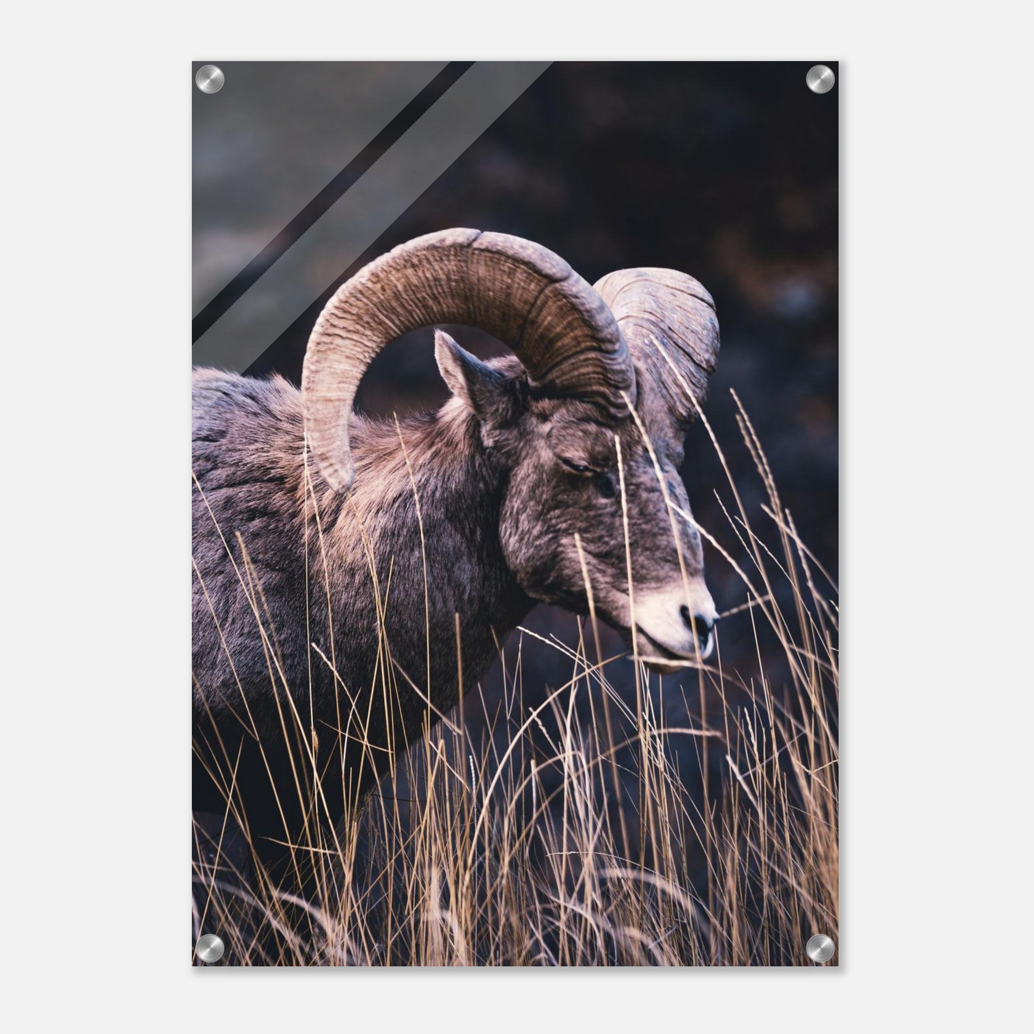 35e37d55-0d9d-4f27-bed6-0e23c381e5c7