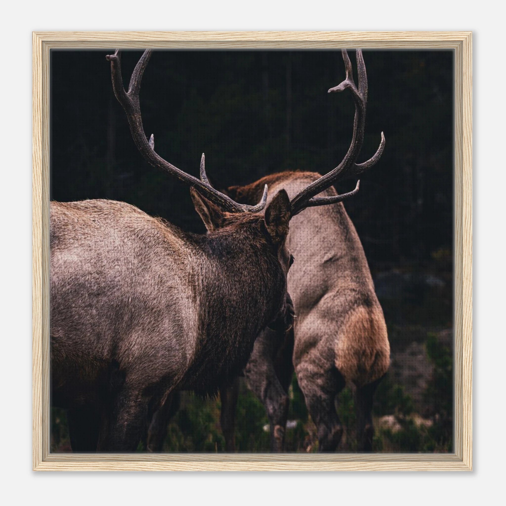 373a4fb0-339b-49b9-a694-8df2ae4eca12