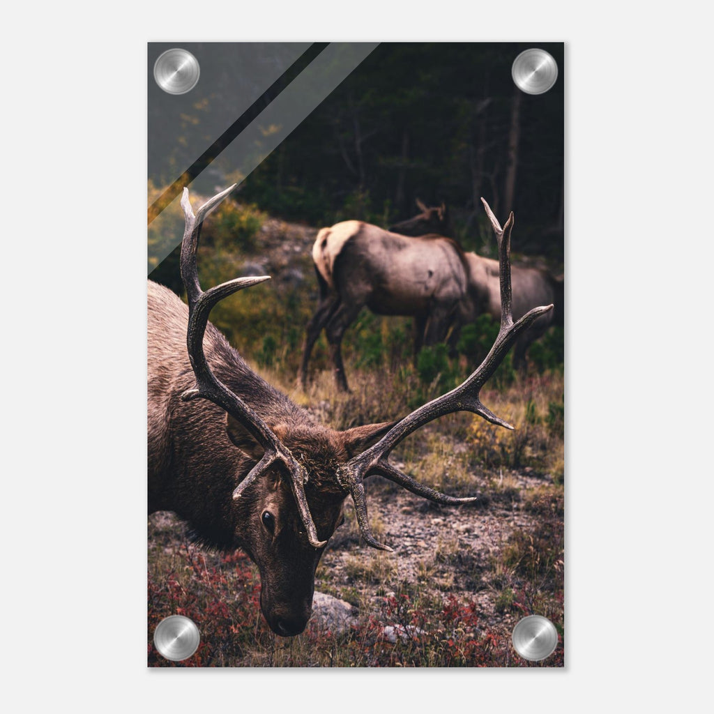 378467c6-1684-4e46-aba6-552a075d887d