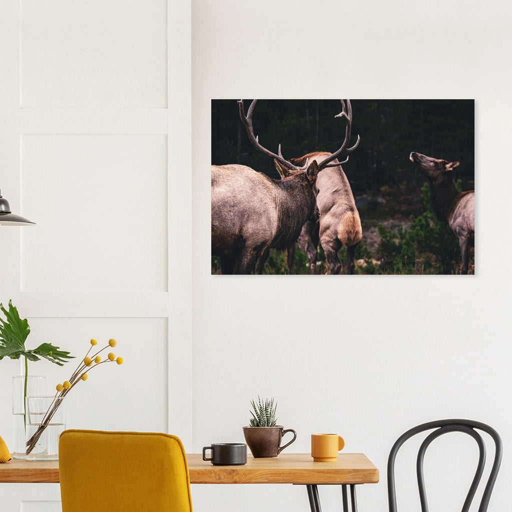 38a8b499-060a-418e-bc68-1bcbba82ab9a