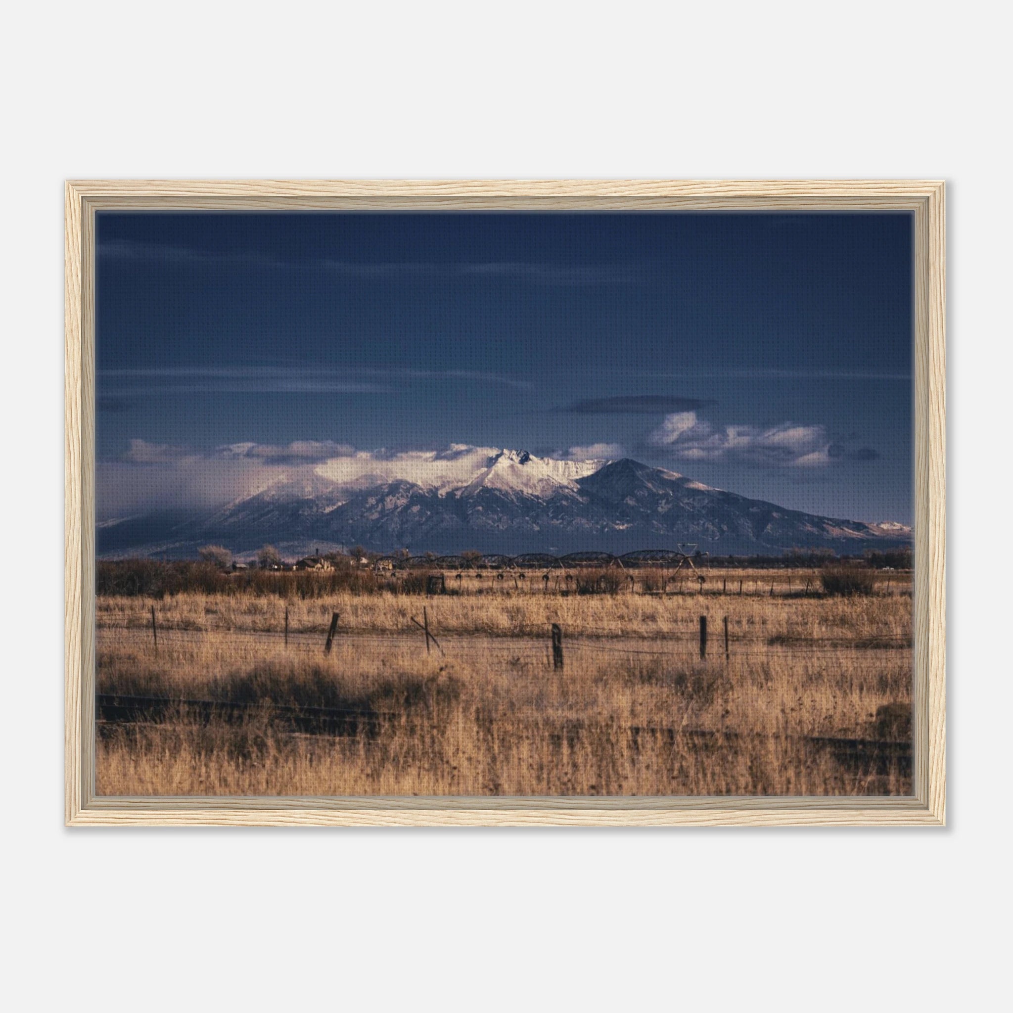 393c5db0-842d-4991-8fcb-38d696ff78a8