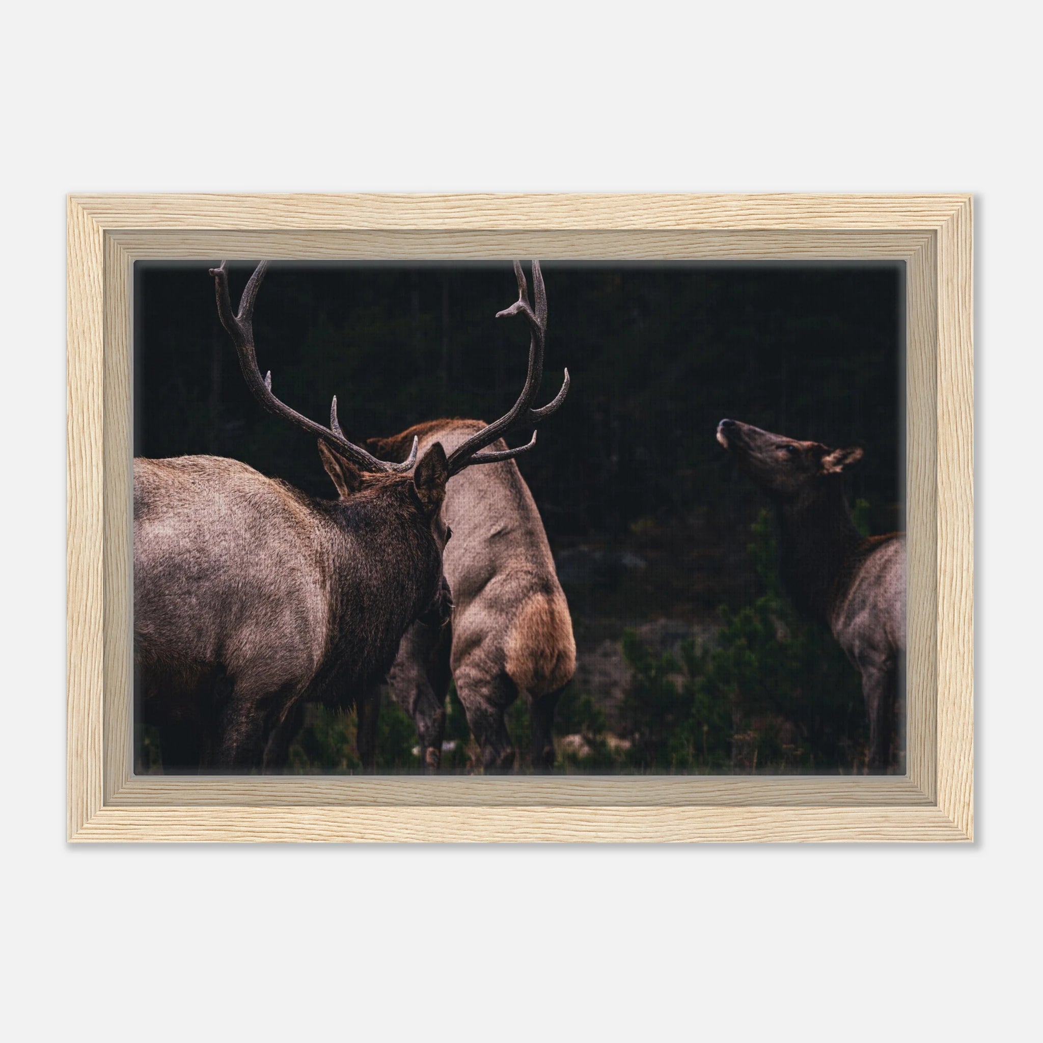 3973b661-cb8f-4eee-b5ae-005aebedd5ee