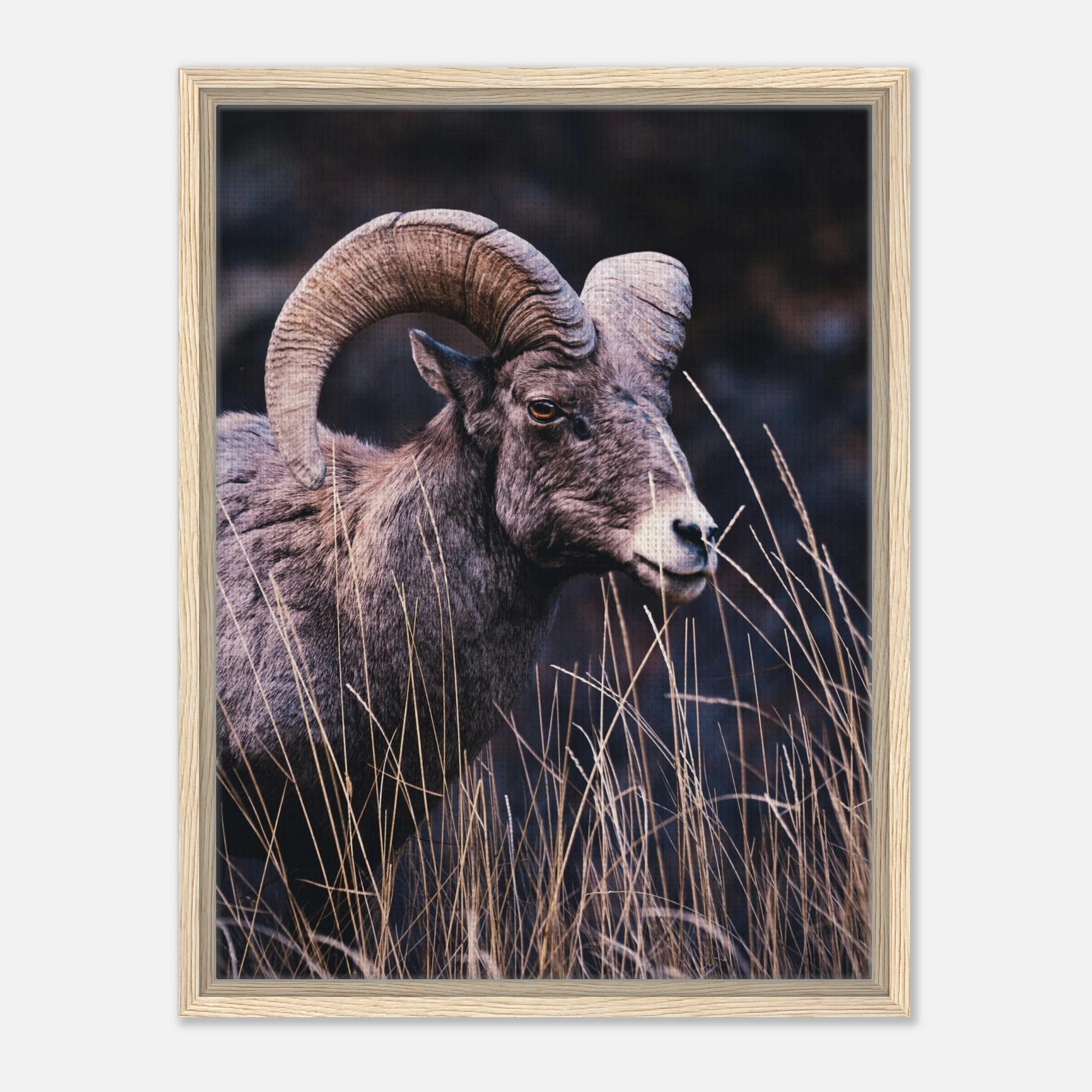 3a2a2520-7017-4195-99d7-e4634d7103c8