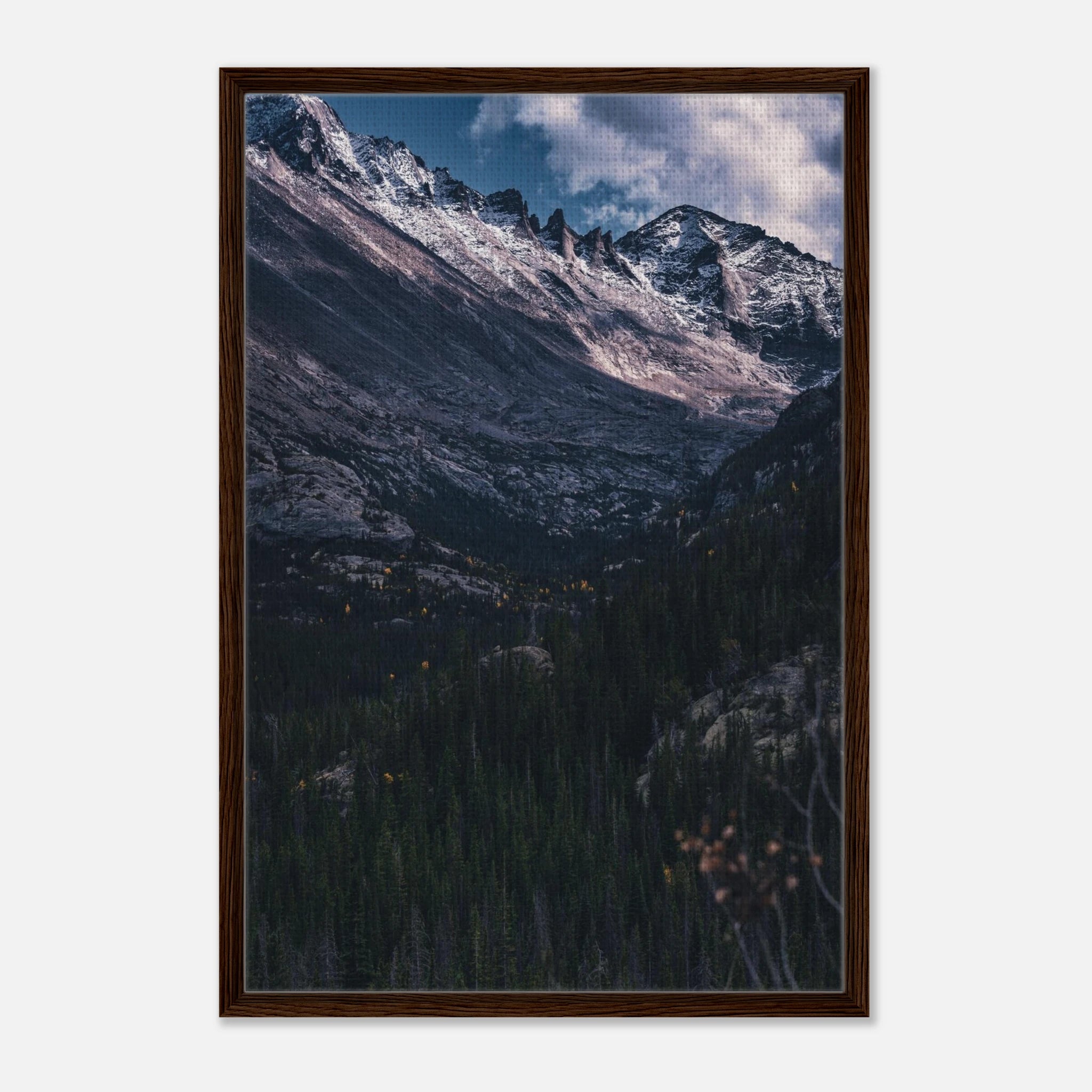 3bdc4771-cb38-4930-b6bf-8057ebed7ce6