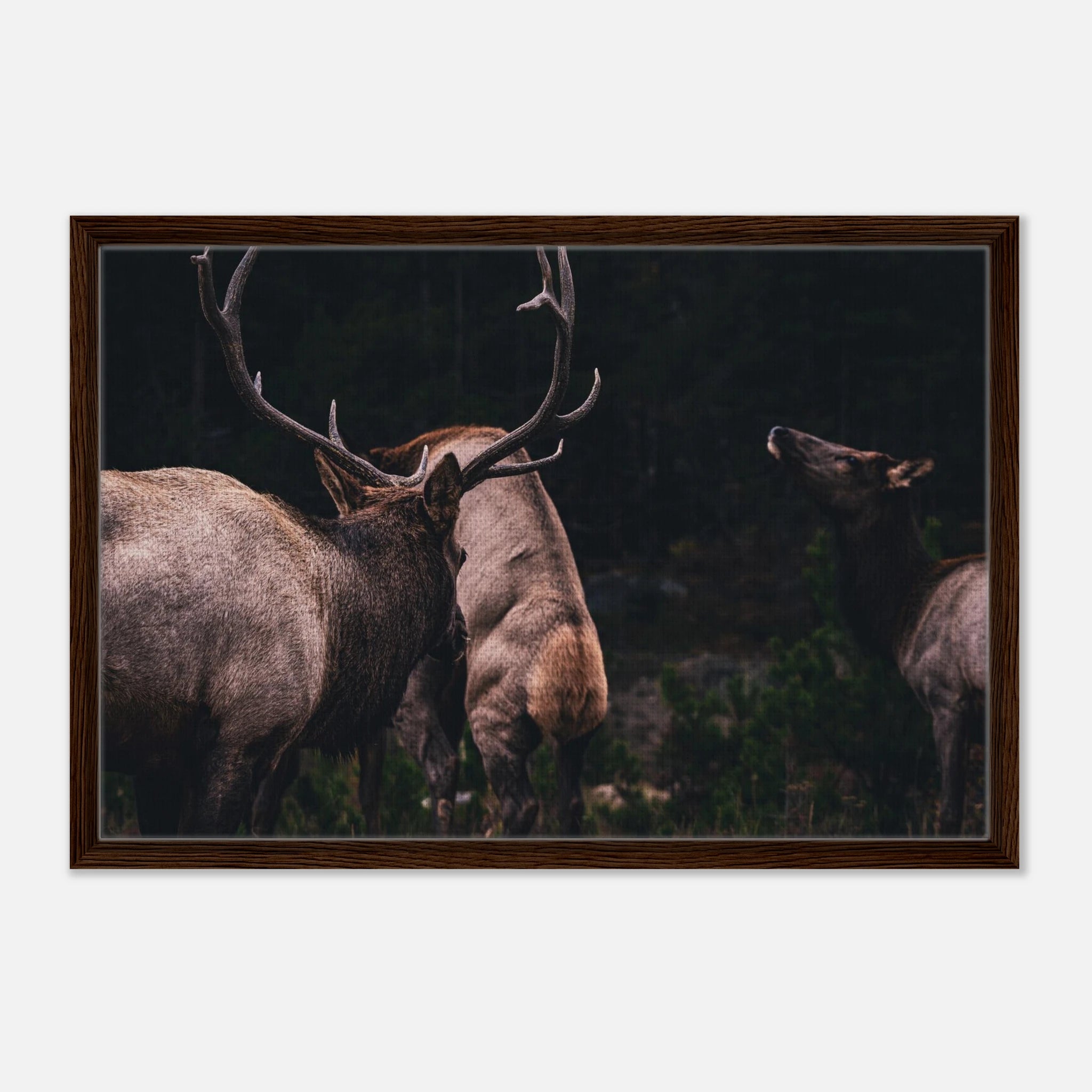 3d22d67b-a37a-4183-b93b-7c1207aa2636