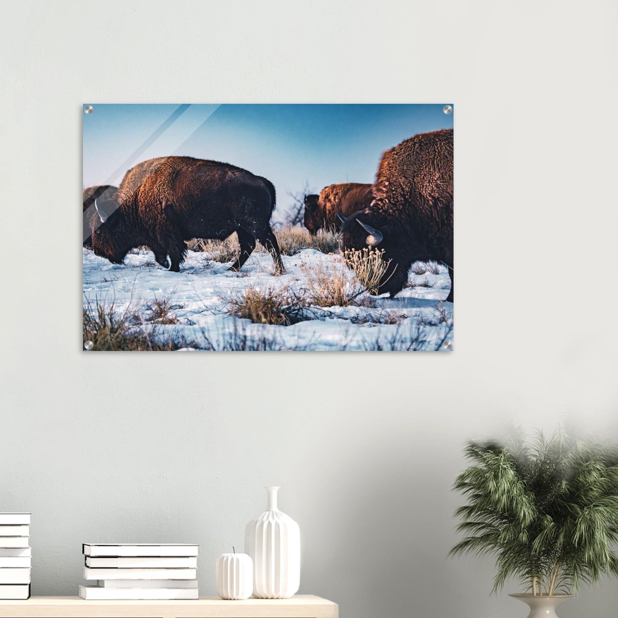 3d26e0de-6fc3-408b-9ab2-8ecf1c129715