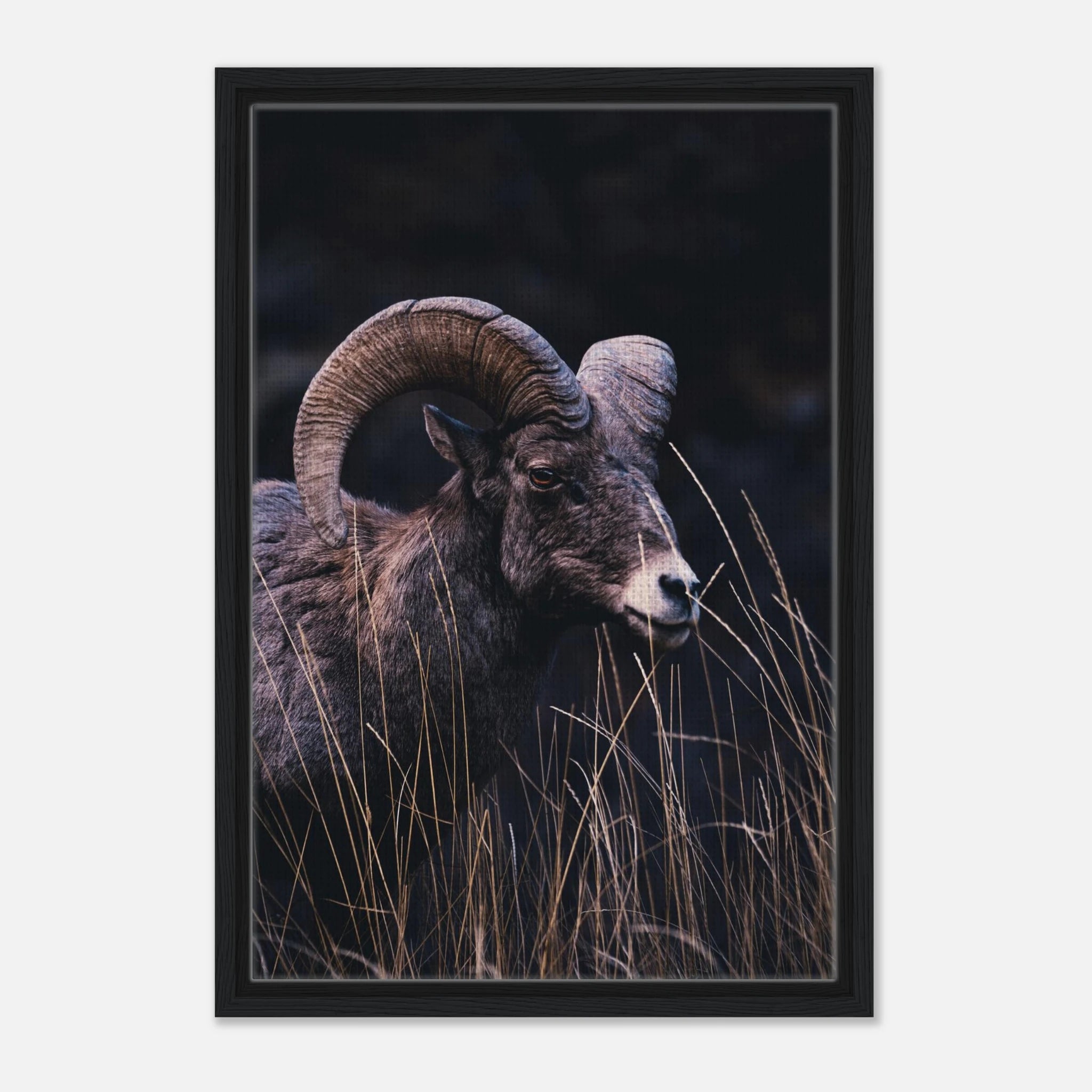 3d6cbb96-4721-4cbf-83f1-3e9c160bddbc