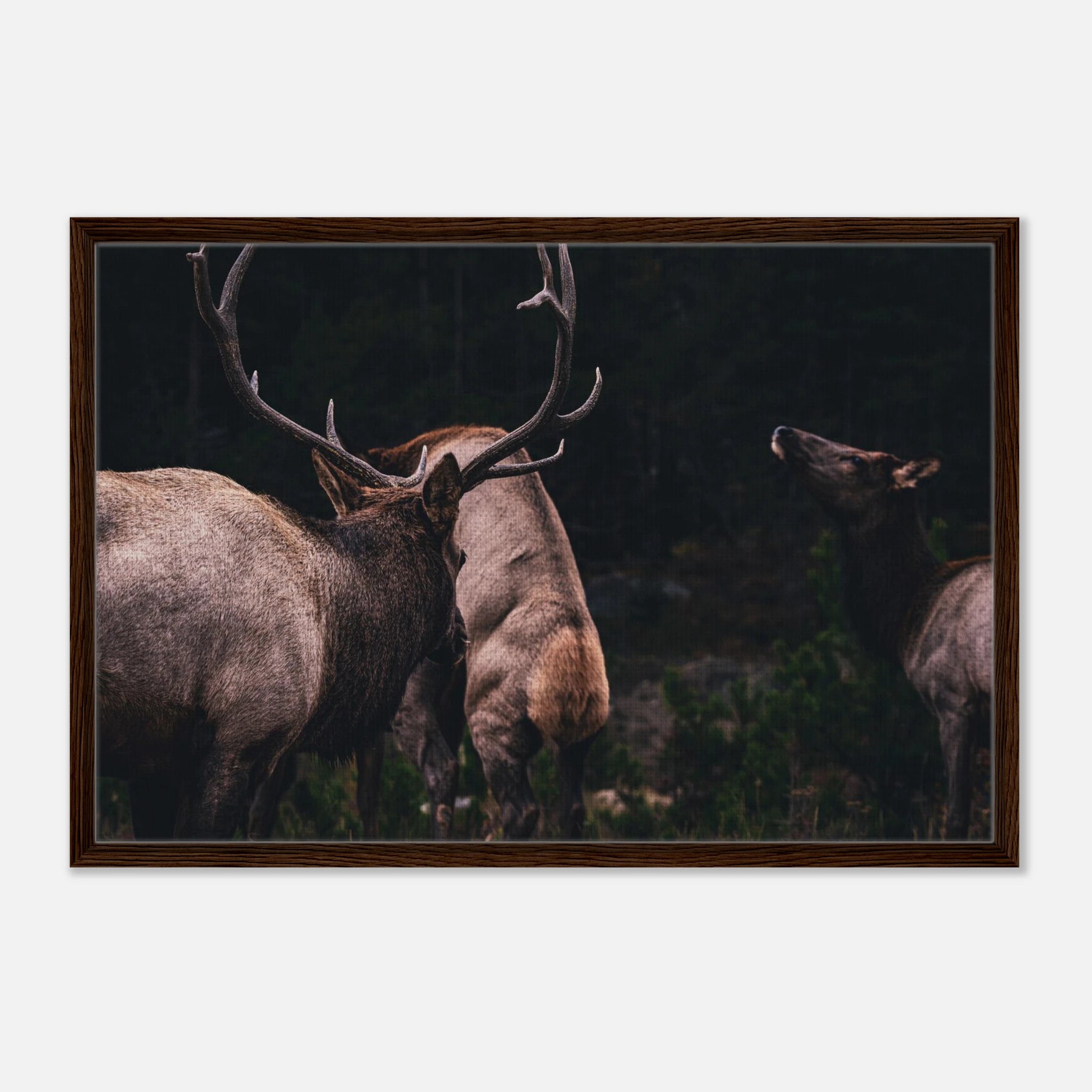 3ec37374-efdc-4af3-b92b-5f7337c35914