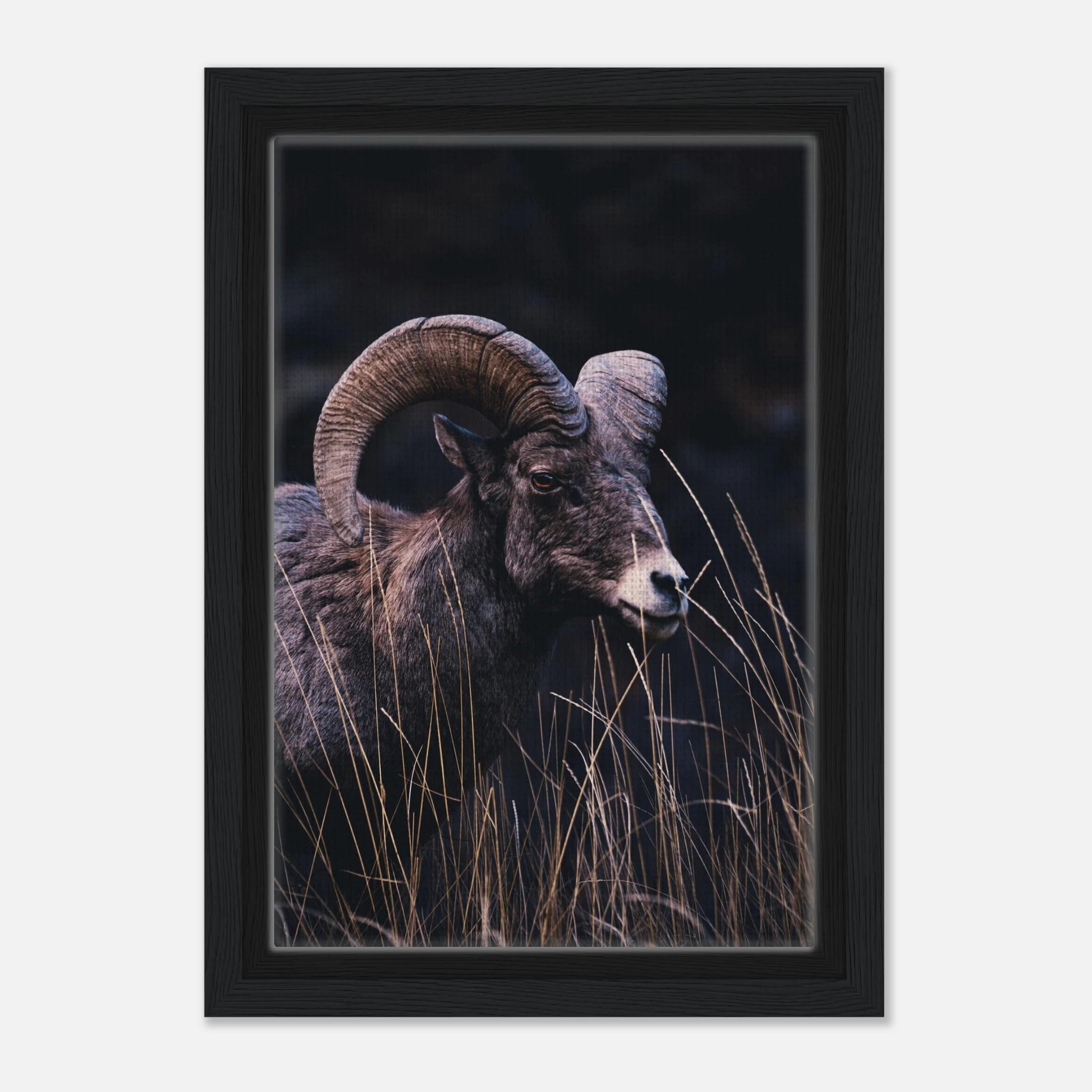 409e7757-369c-49d7-8c75-e5e59db99d54