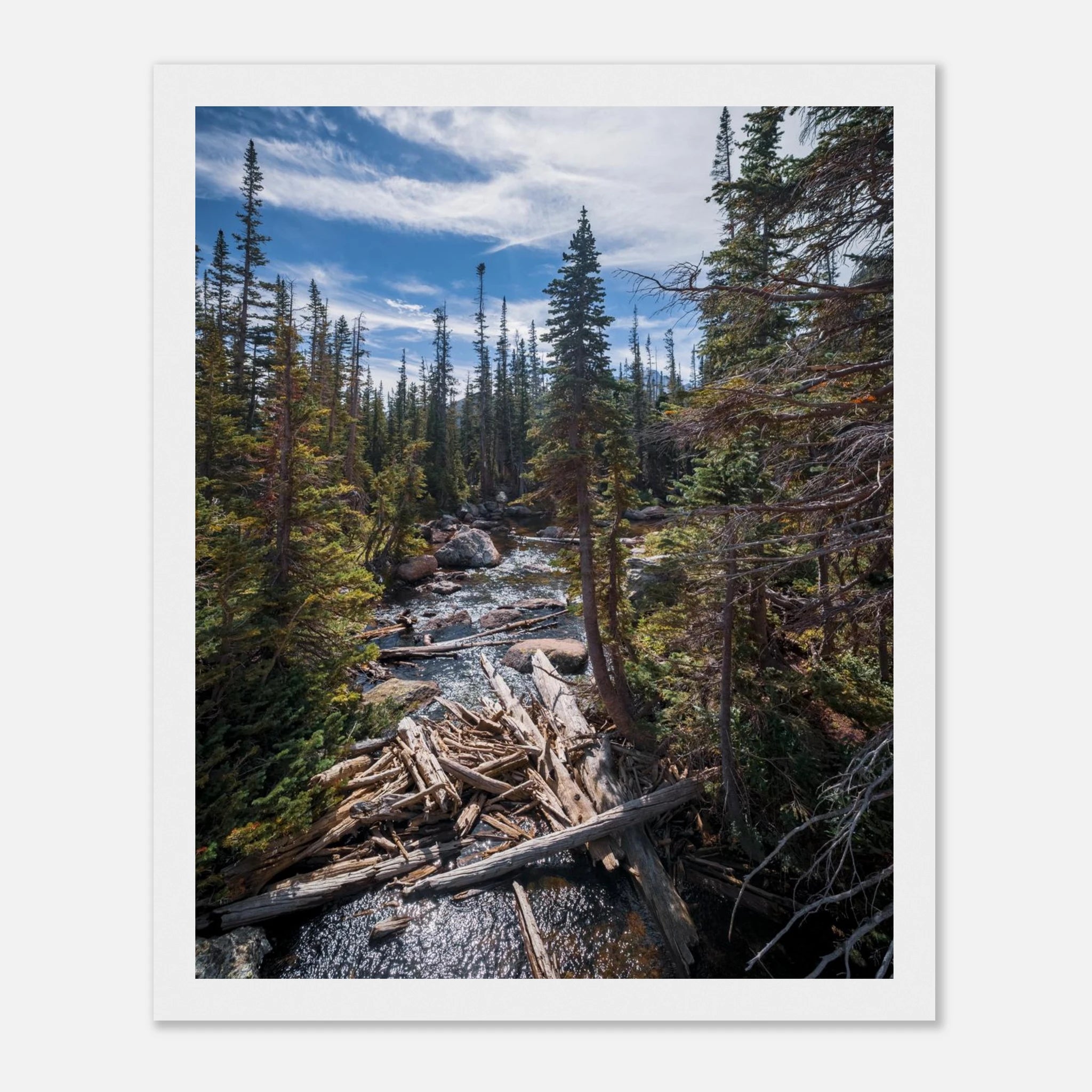 40ede8ee-30b8-4f53-816c-a9d295e79484