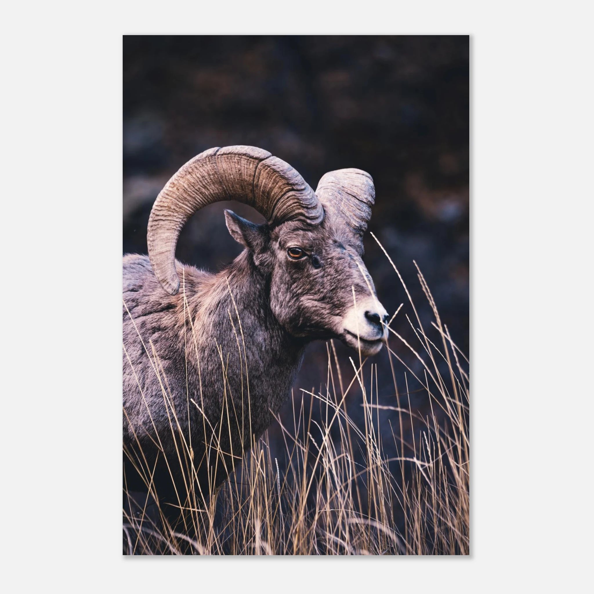 414182ab-5809-4673-975f-a0c0f85d3c58