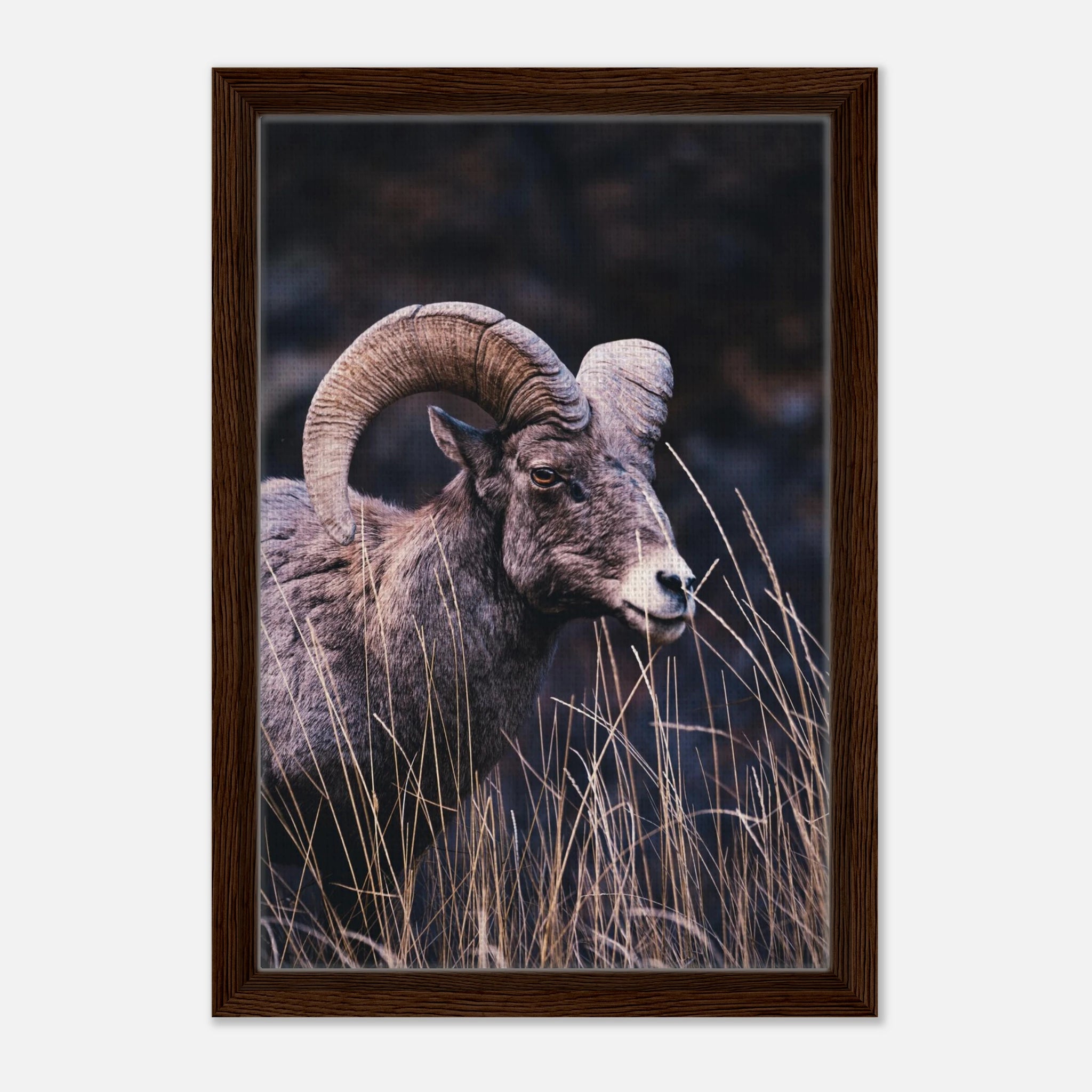 4174d055-6b89-4c0e-872c-73d1338a50f4