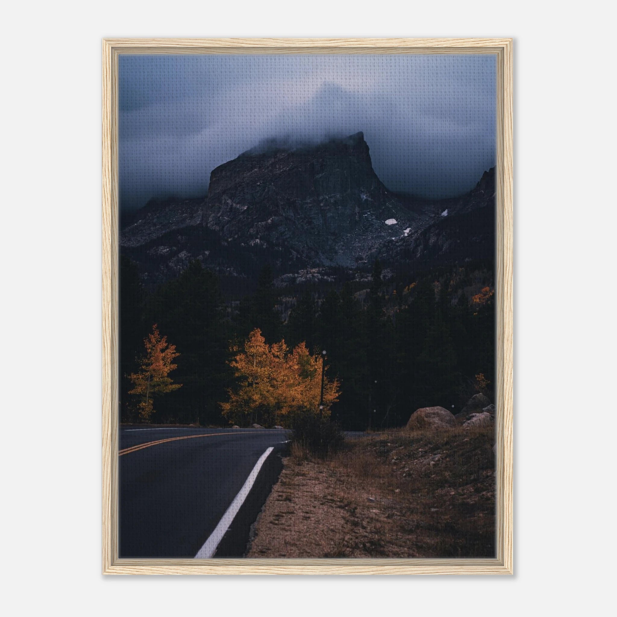 41885f1a-a3c8-40a3-b954-cf1fb6c8547e