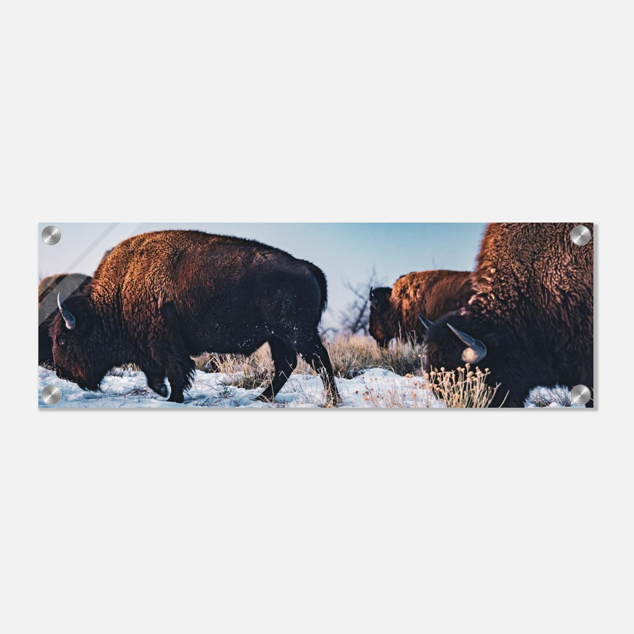 41b562bd-ad2c-4004-8b18-a0d619ddeadb