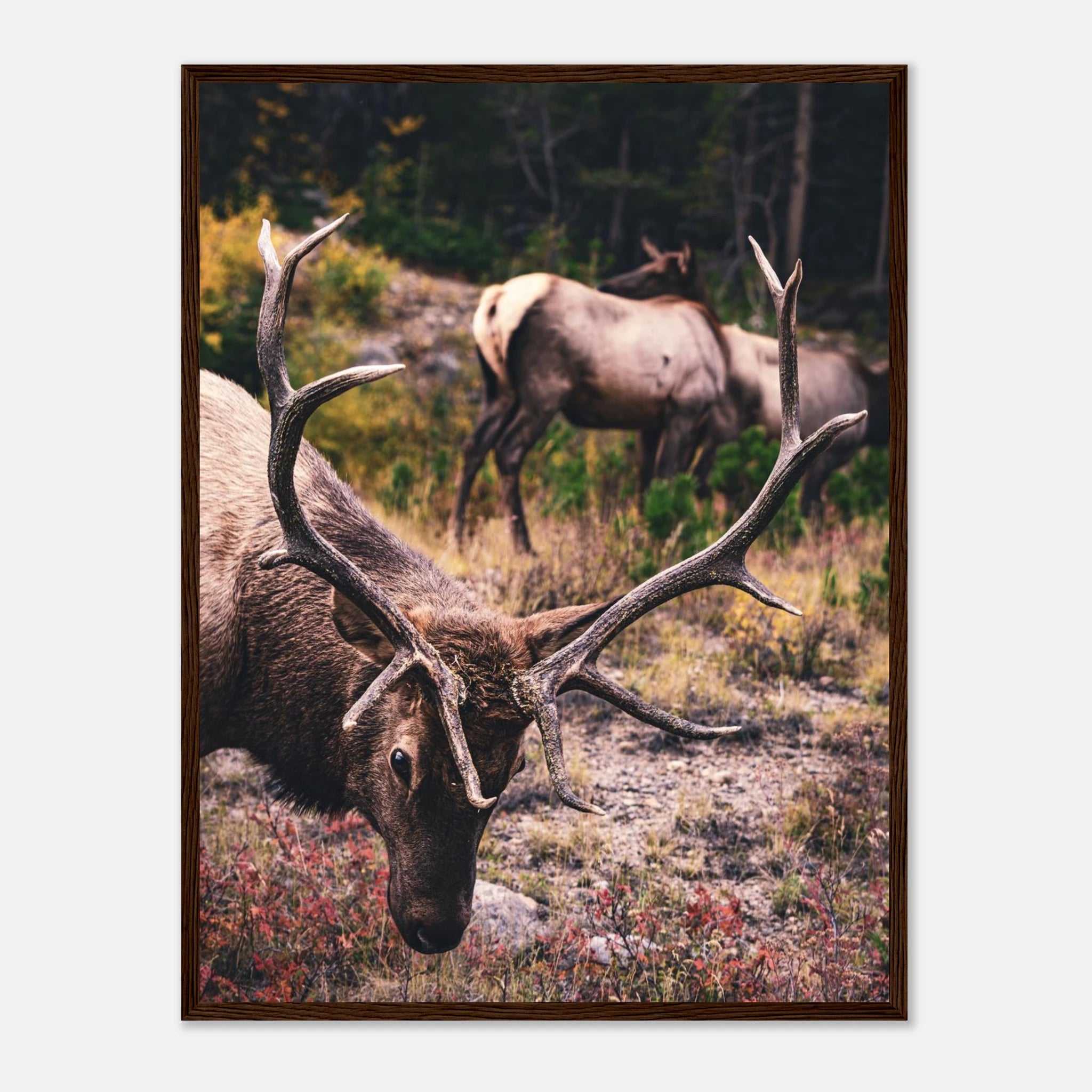 41c38e86-01f8-4565-9e9a-025424a549f4