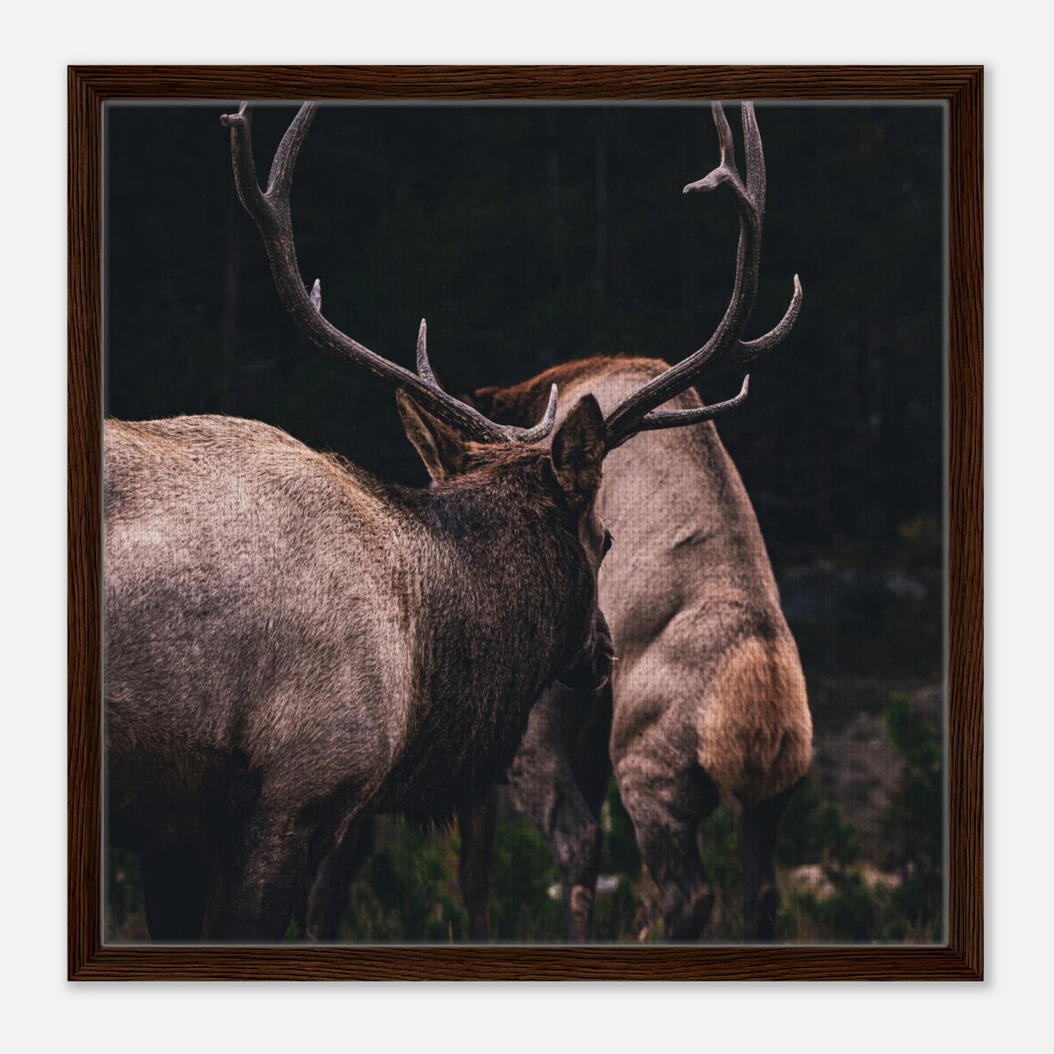 422d17a9-eec5-48fd-8690-f7d545577223