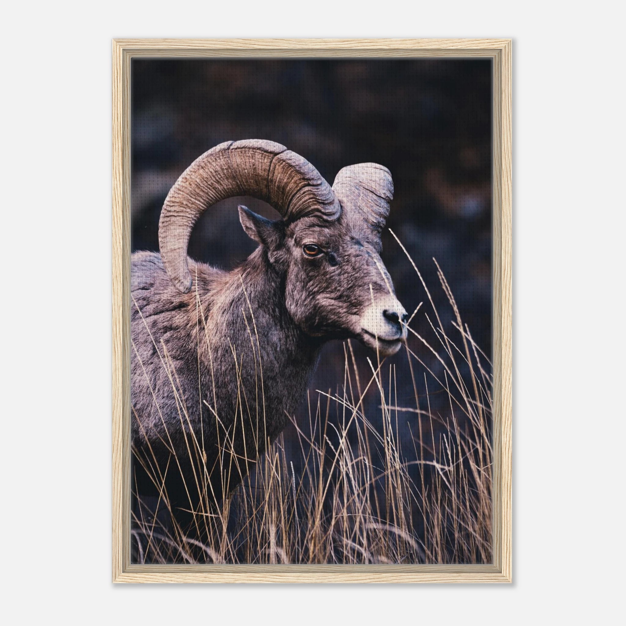 45d84f8b-7416-400a-afde-3482061ef0f3