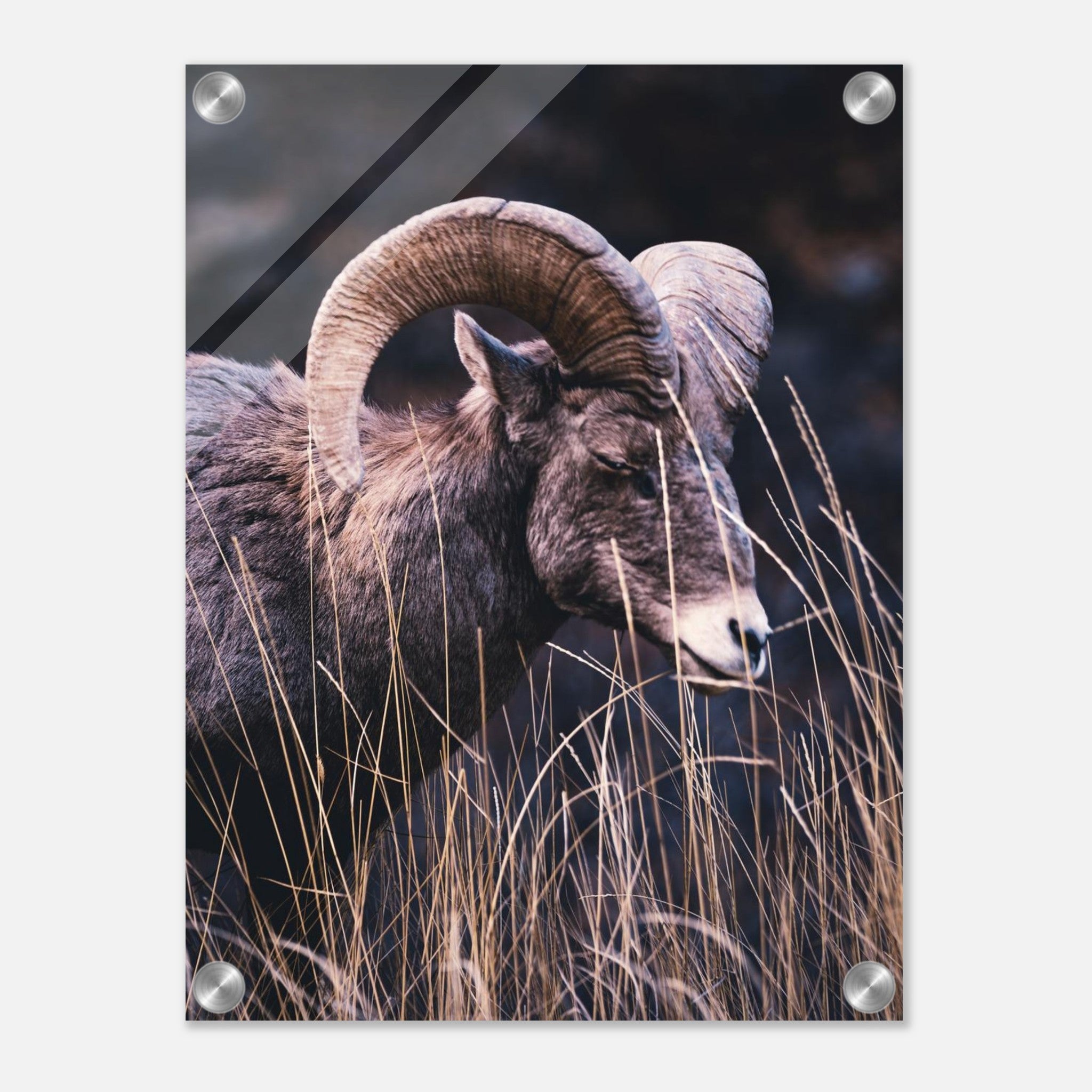 460d053d-8458-4da4-b68d-5c3361c60840