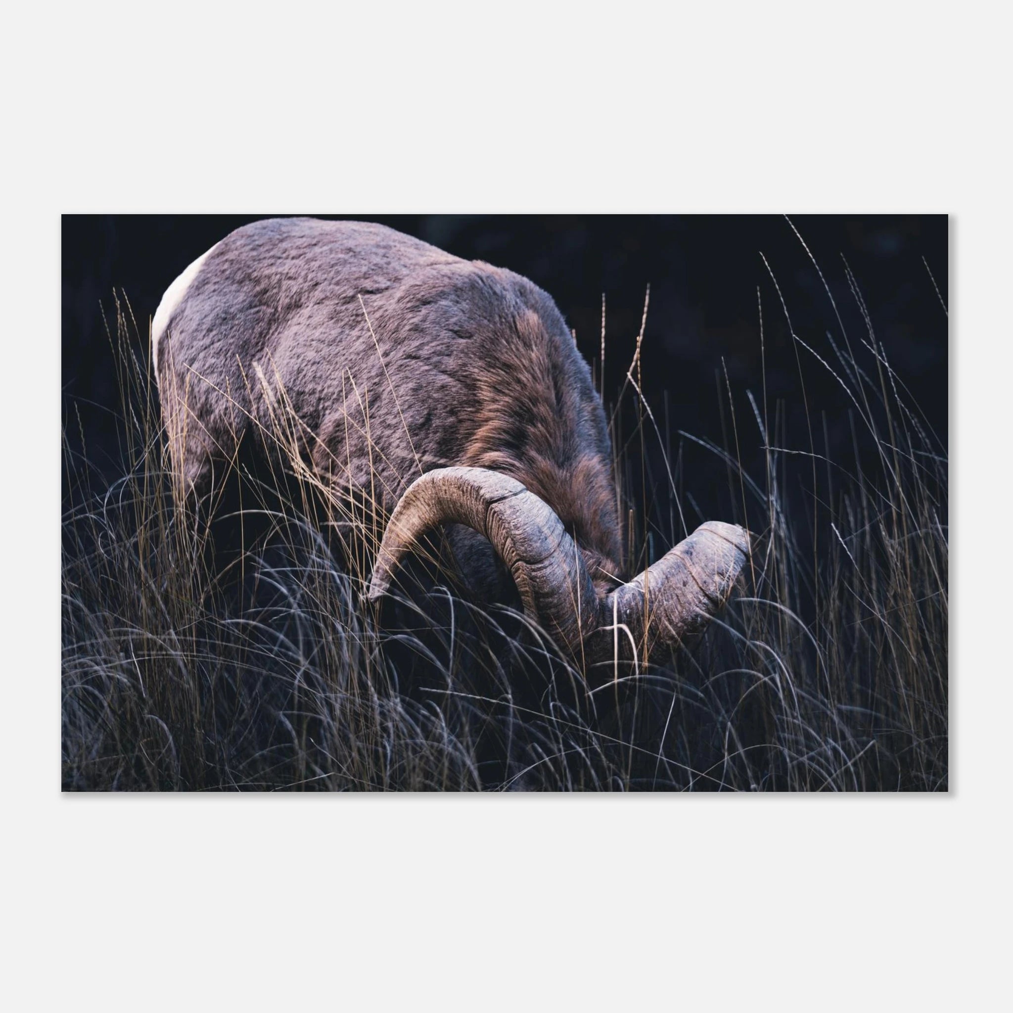 477961e8-b1d7-42a2-89e0-4d8dc27d6c6a