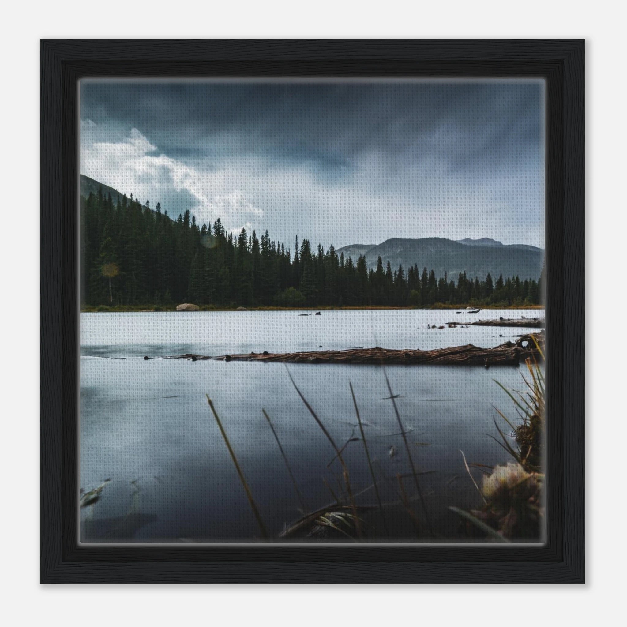 479820b4-f57e-4a8a-8f7f-41e2d2ceab36