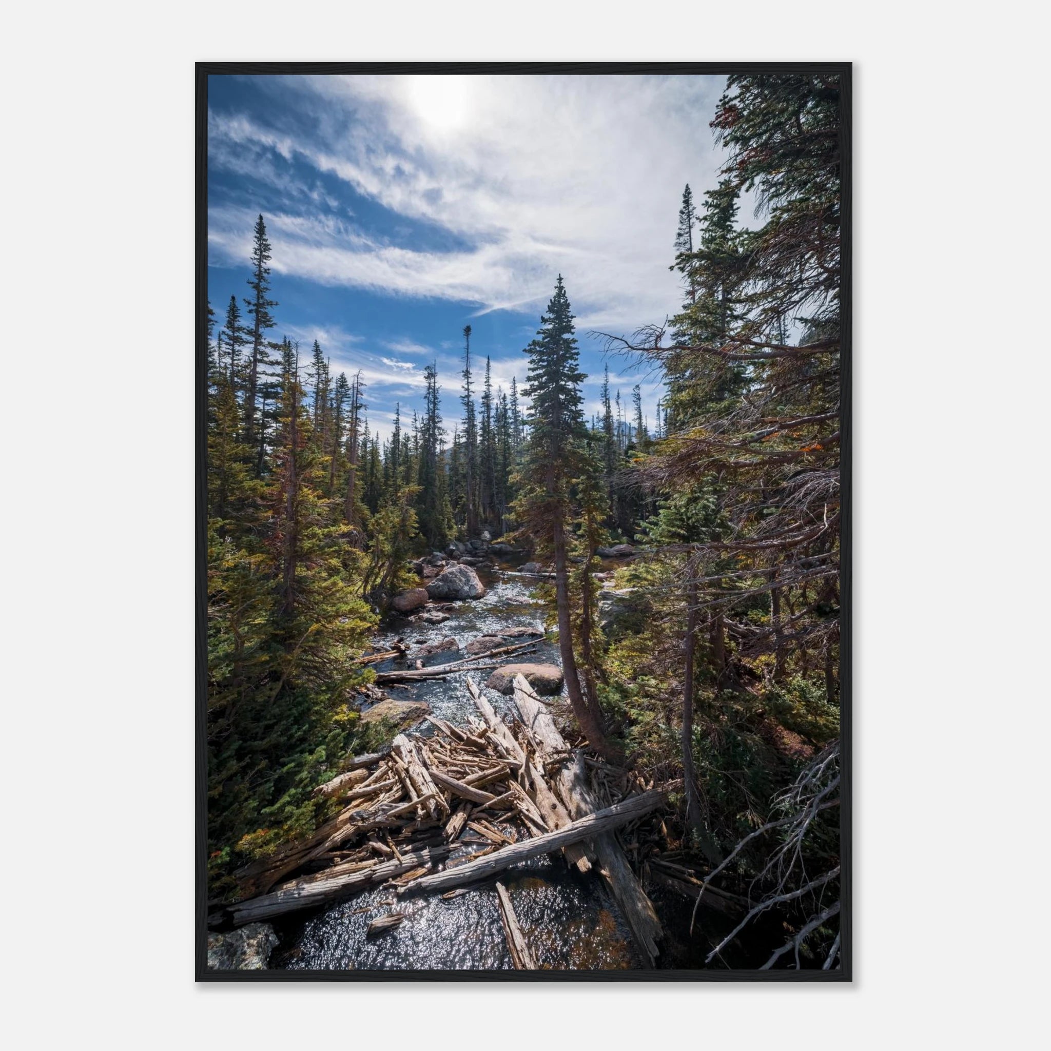 4871993b-0de6-4b1d-bec2-6a8cb4ca4cbc