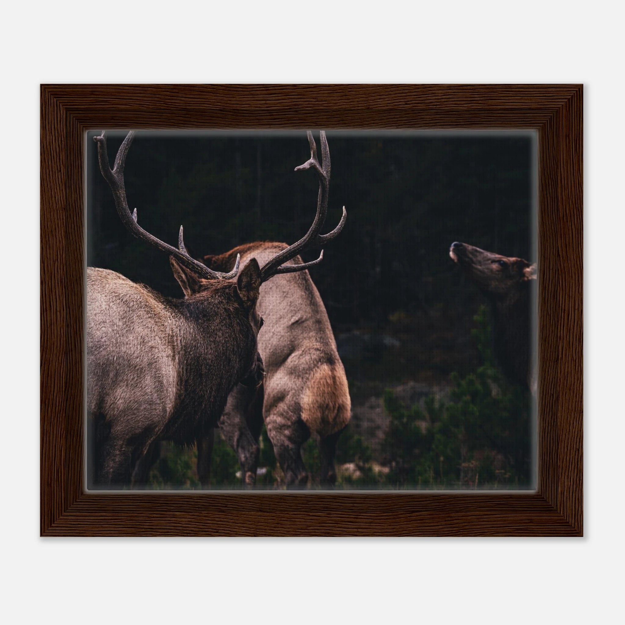 48fbacab-100b-47e6-abb9-70b885775e8f