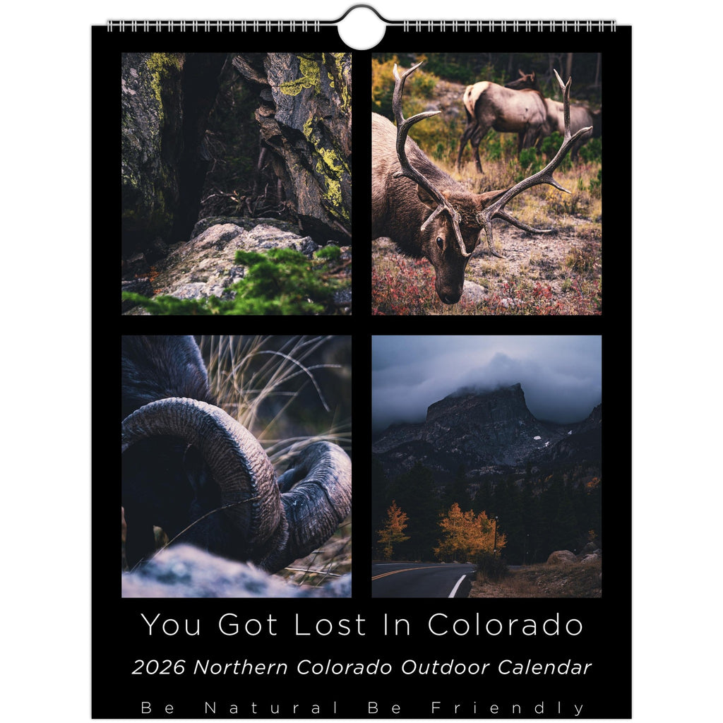 491ce1cb-5a87-427e-b9c4-2651f5ffa4d8