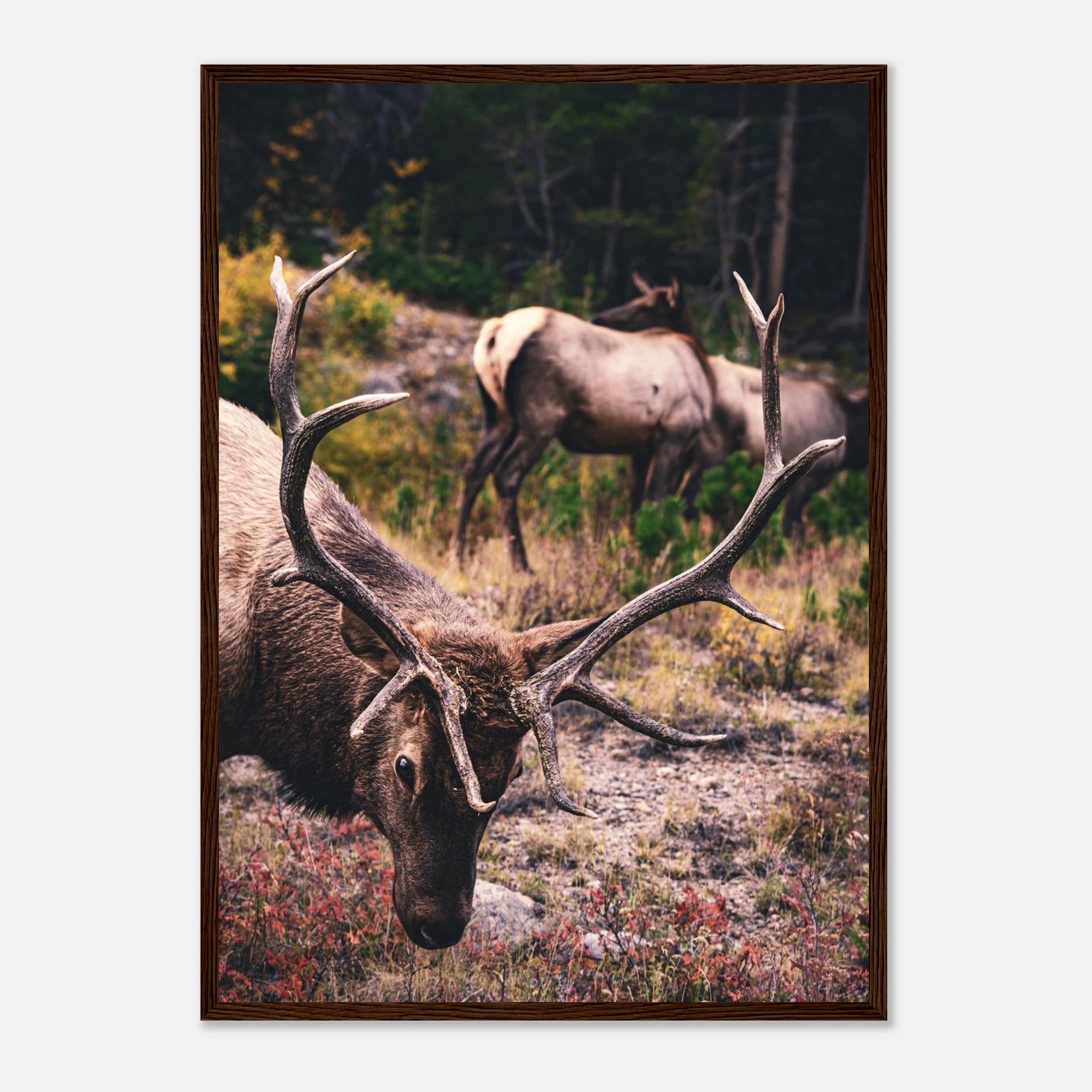 4968d044-0485-42c2-8dc6-1ef595ae7b61