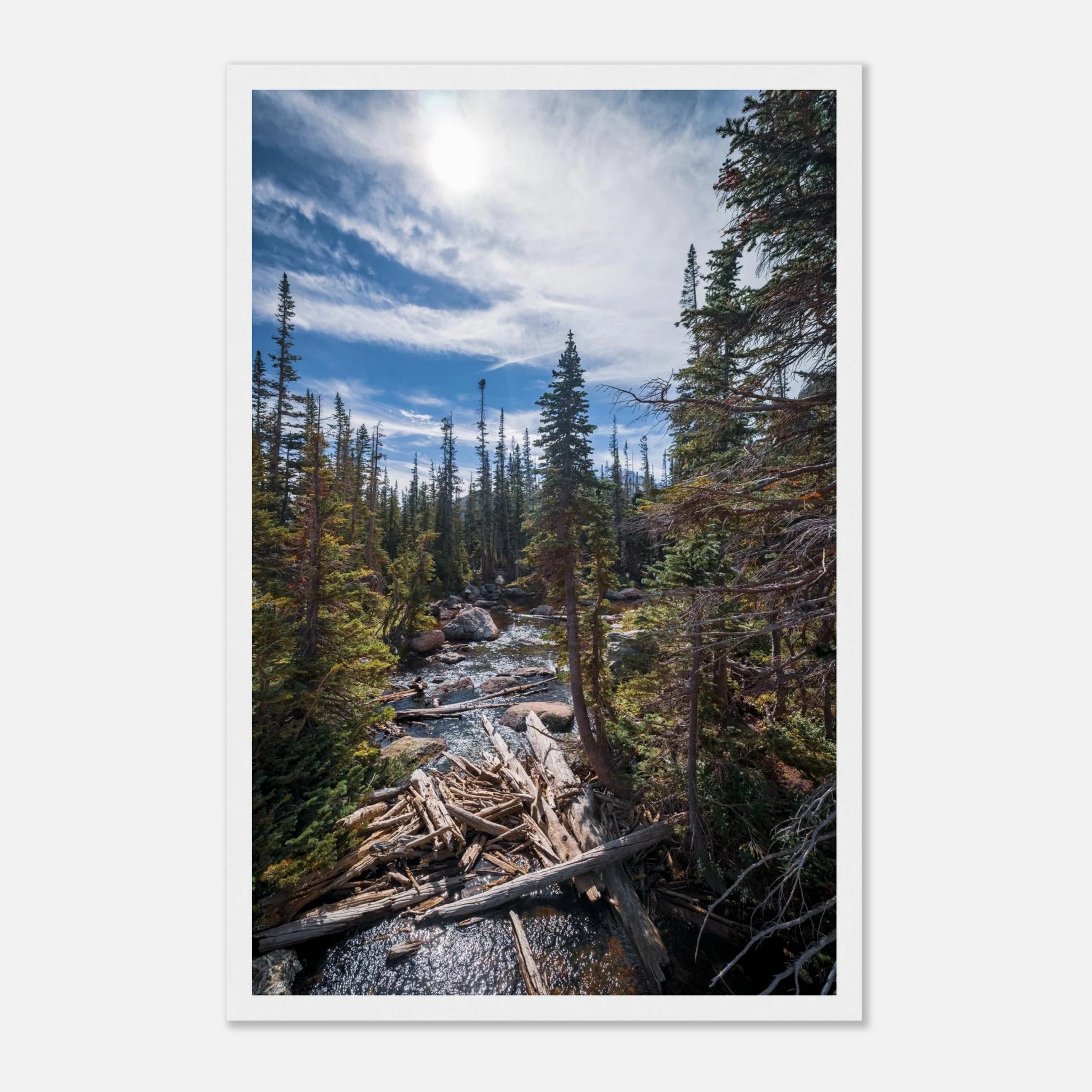 497f9f8e-1531-4764-9851-7aff295f2797