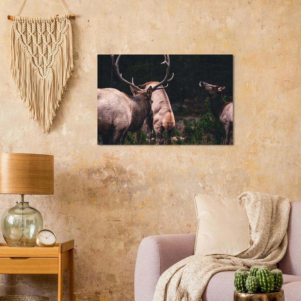 4b3b0405-8802-49c7-99fd-ec0ca686fad8