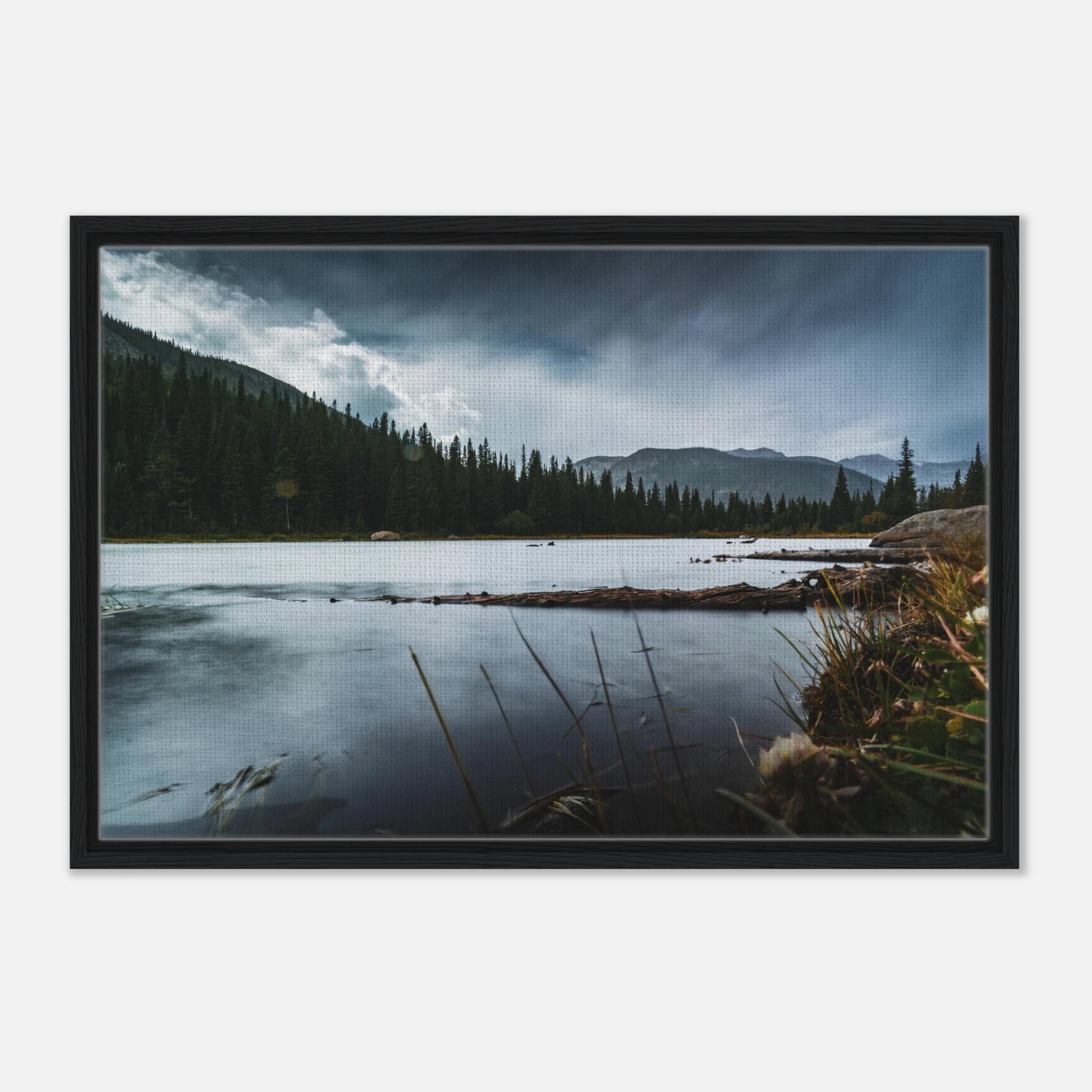 4b941502-2c89-42a5-9d86-267809d1c4eb