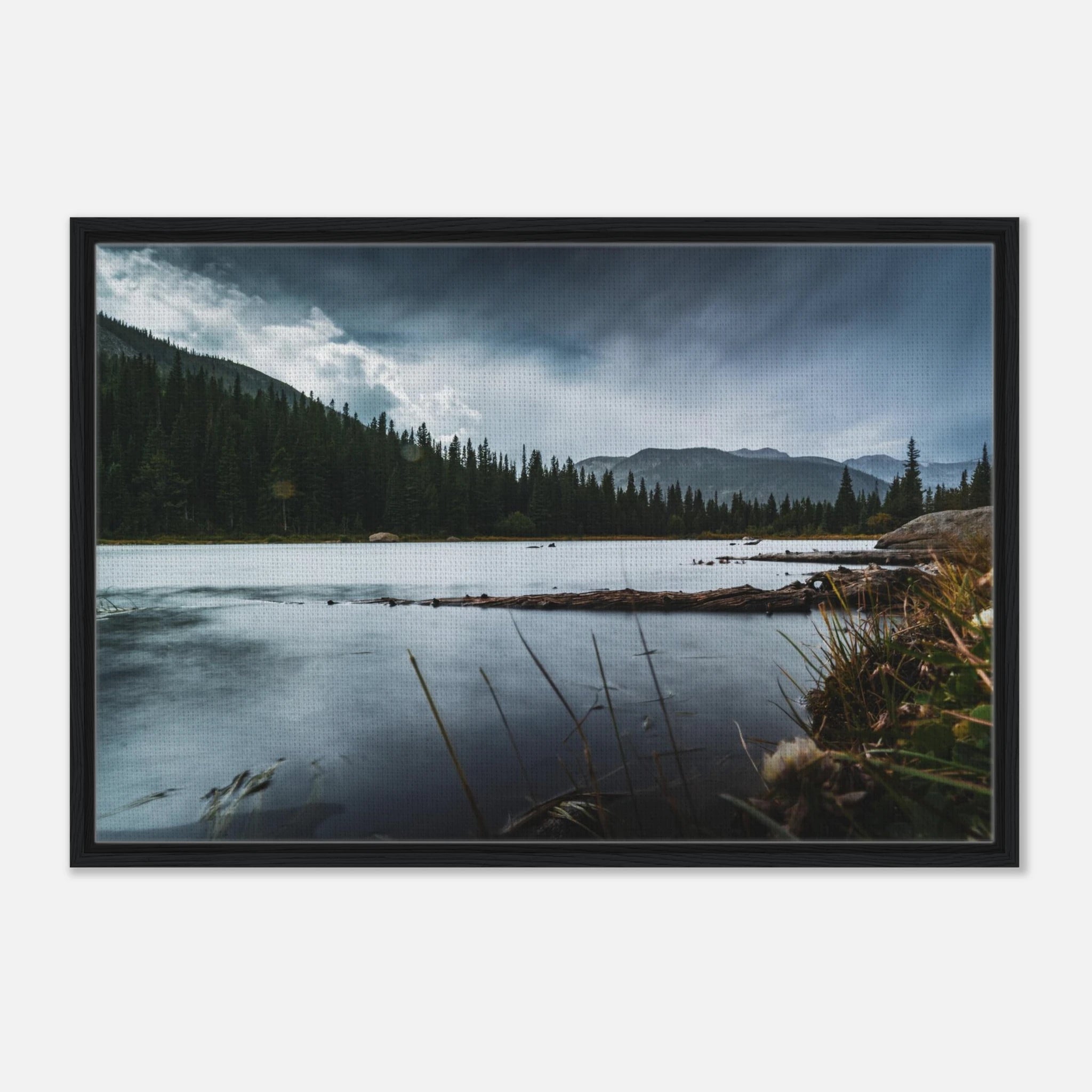 4c5412d1-fb96-45f8-b4a4-3159c18c41c2