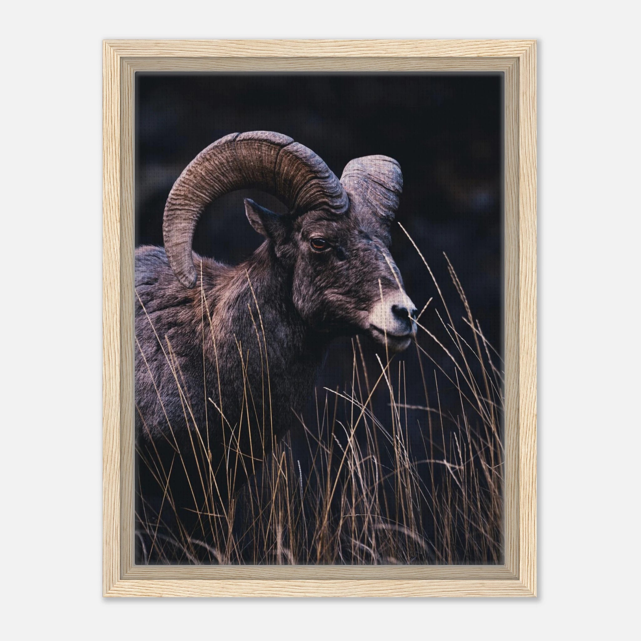 4c5cc390-061b-435d-bfef-aaebecf2380f